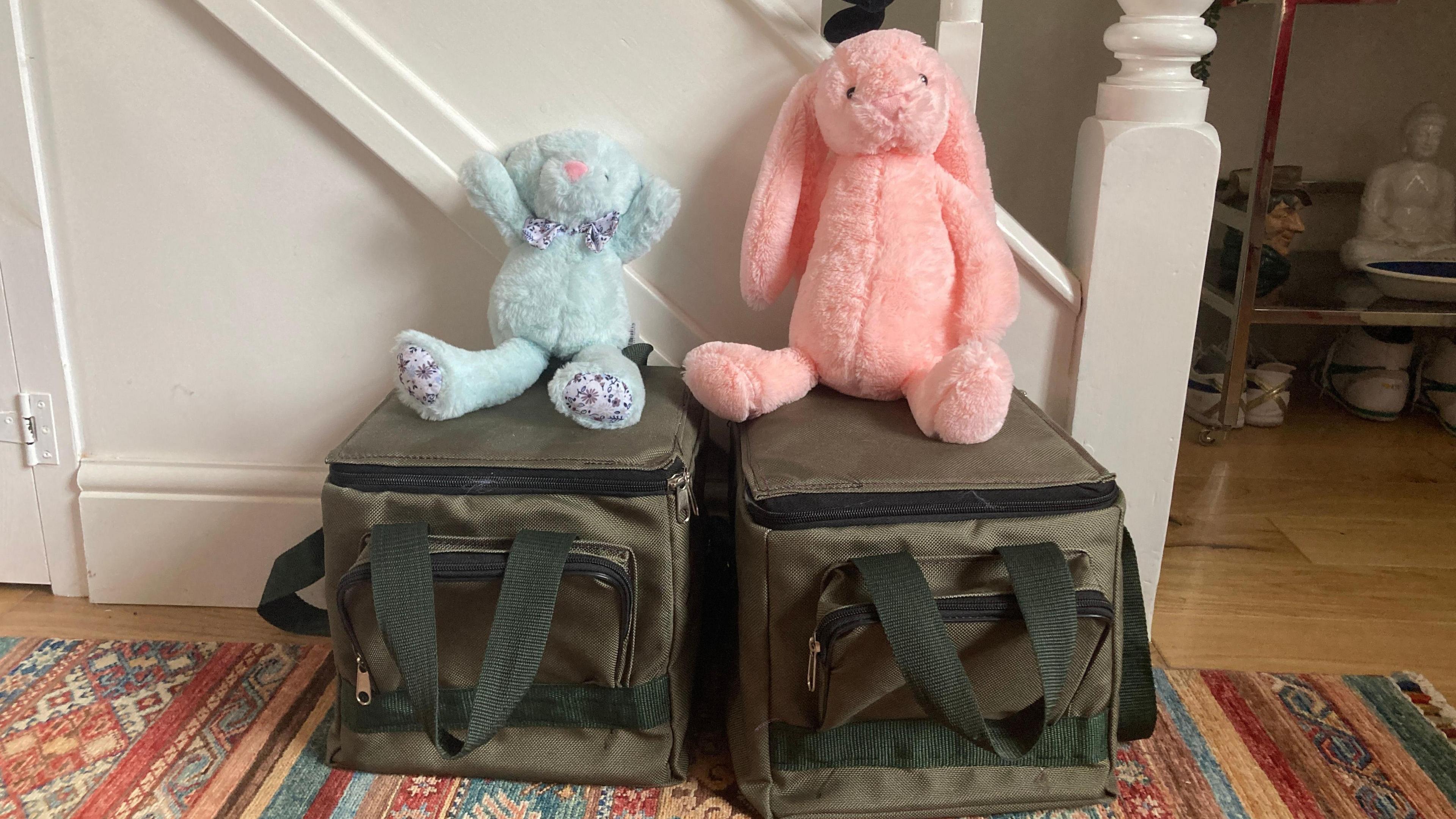 Two brown bags with zips and handles are on the floor next to a staircase. On top of one of bags is a blue teddy and on the other, a pink bunny.