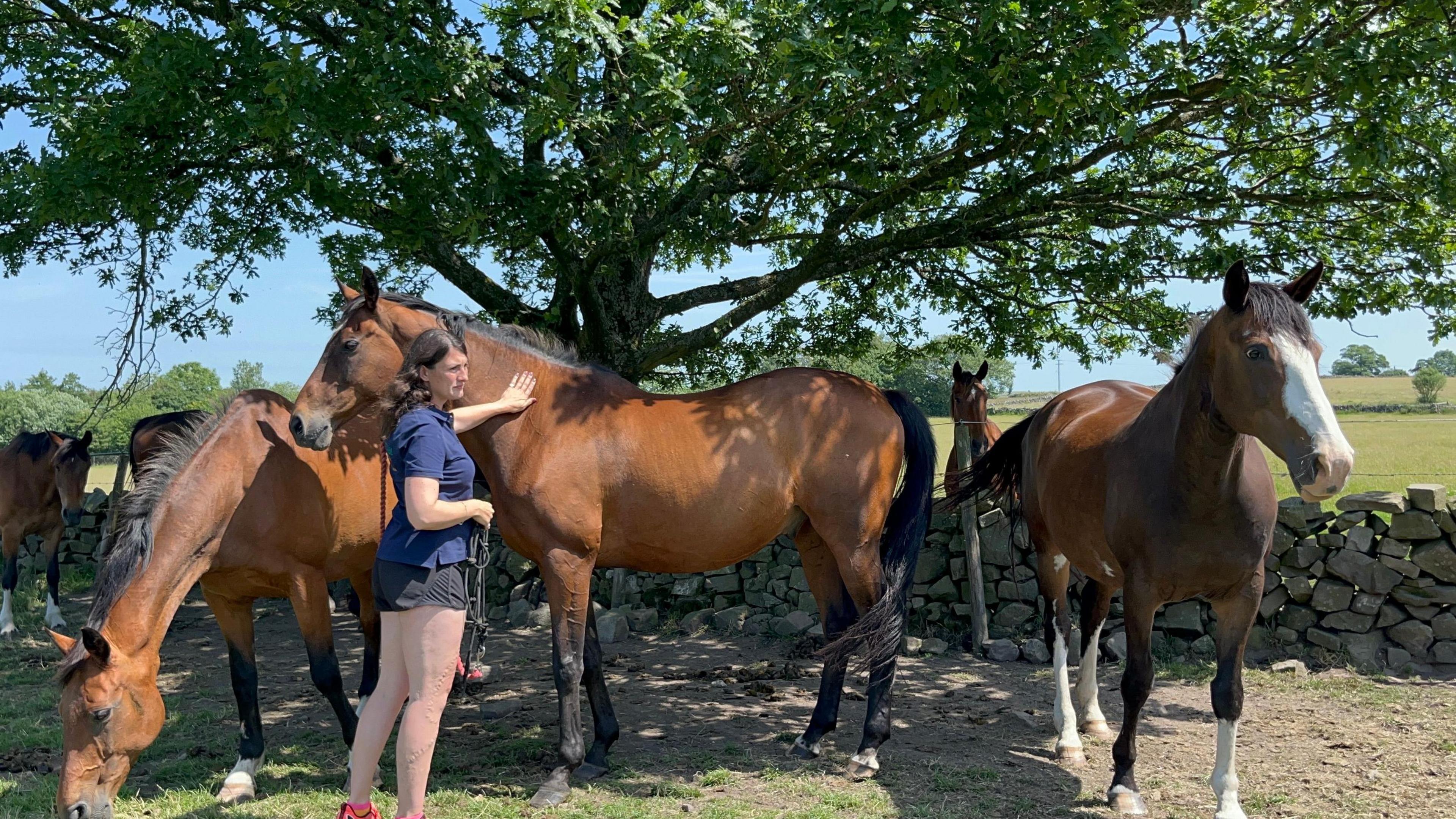 A woman with long brown hair is wearing a blue t-shirt and black shorts. She is standing next to three brown horses sheltering under the shade of a tree. 
