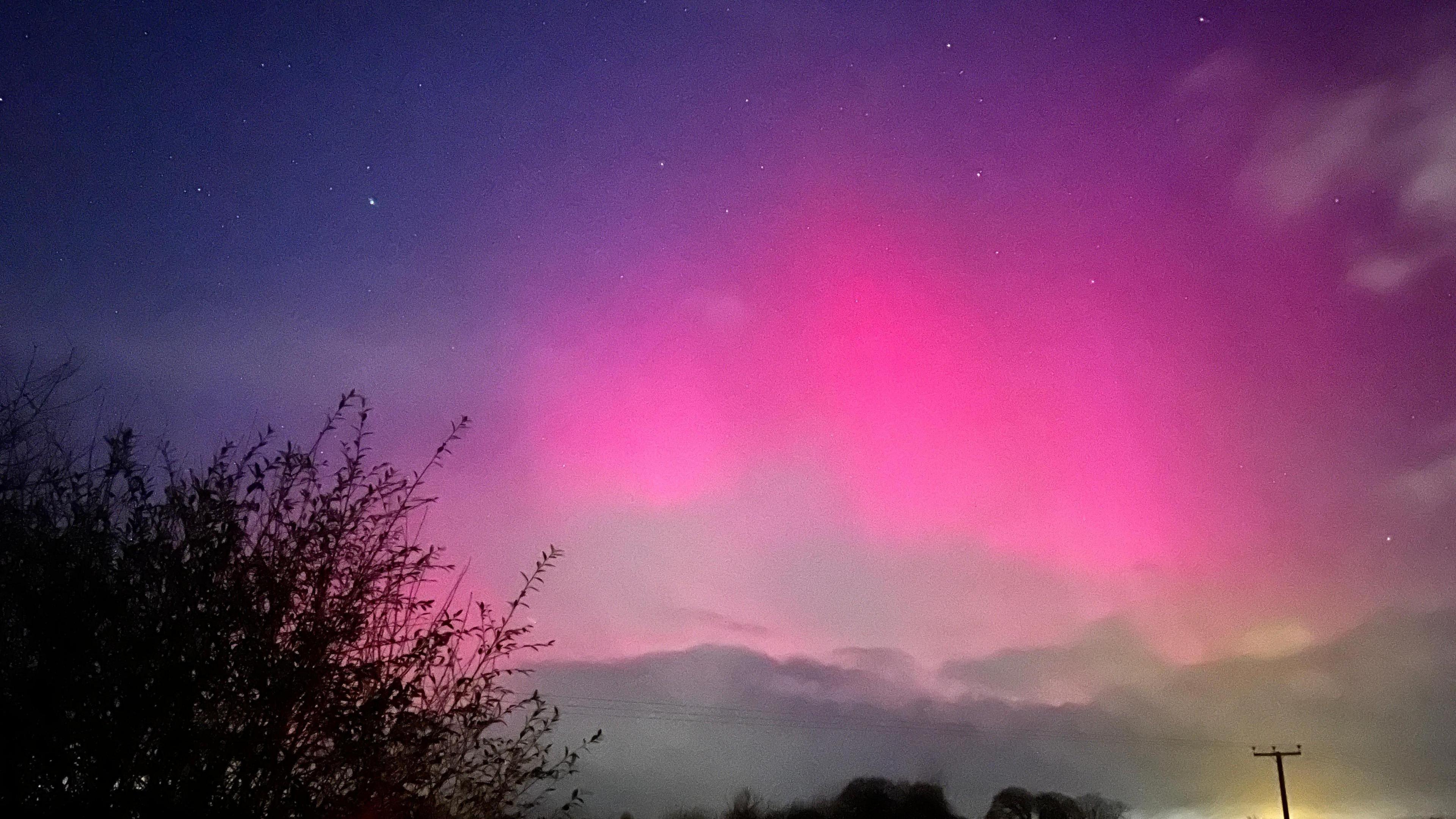 An evening sky with purple and pink hues and stars with the shadow of a tree in the left hand corner