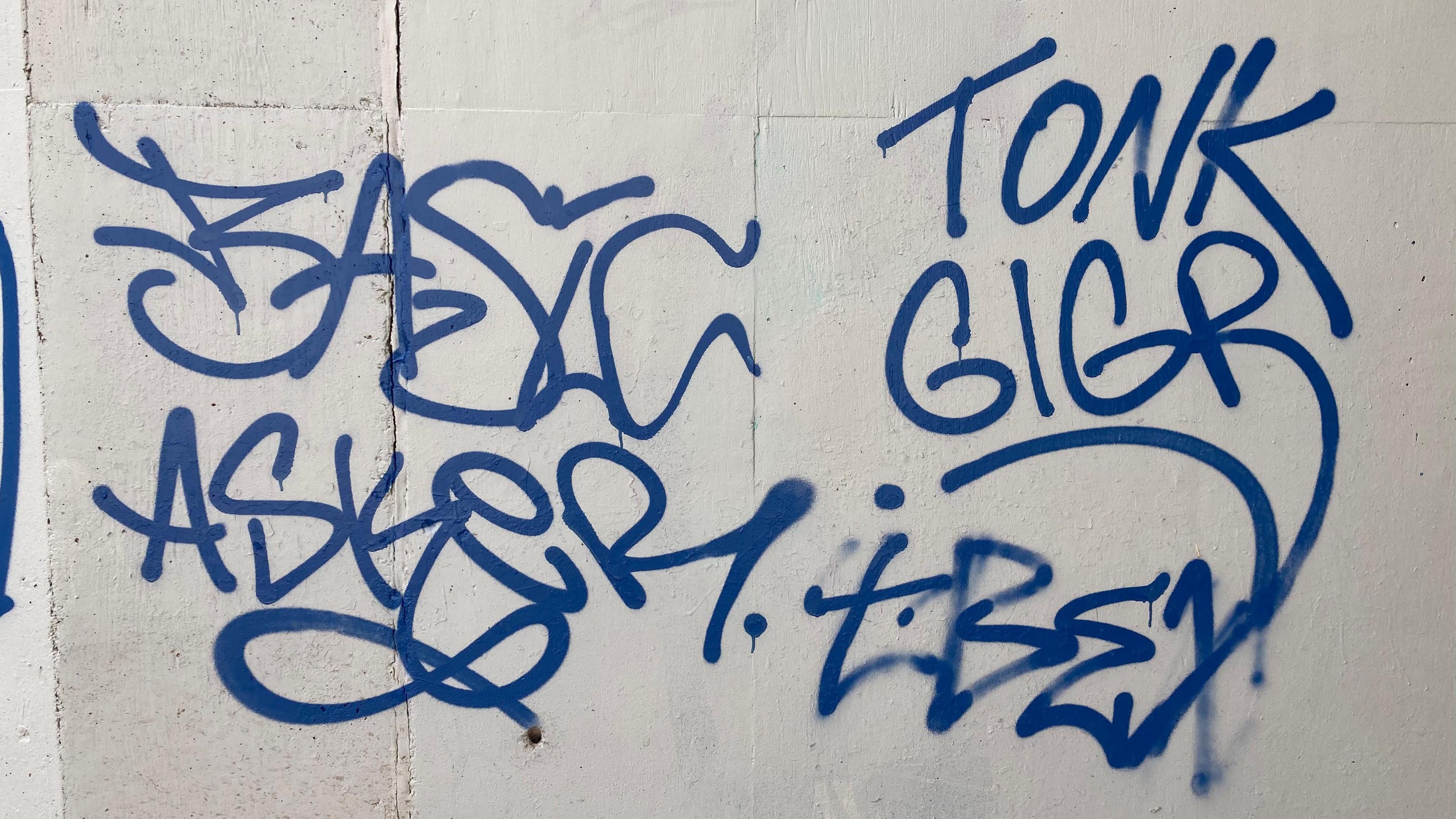 A white concrete wall, which is covered in blue squiggles, including one spelling out the name 'Tonk'.
