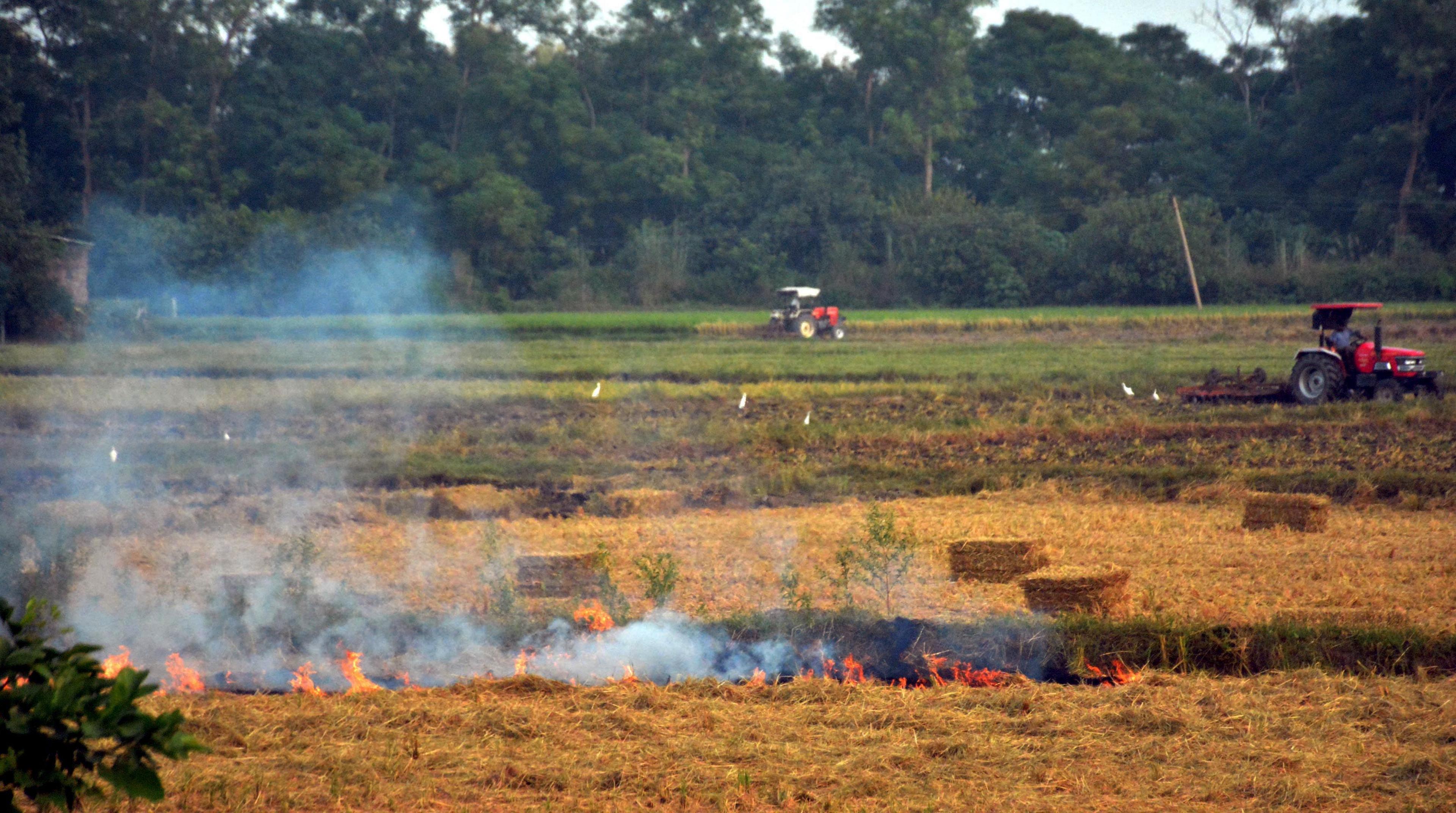 Smoke rises from the burning of straw stubble after a harvest in a paddy field on September 18, 2025 on the outskirts of Amritsar, India