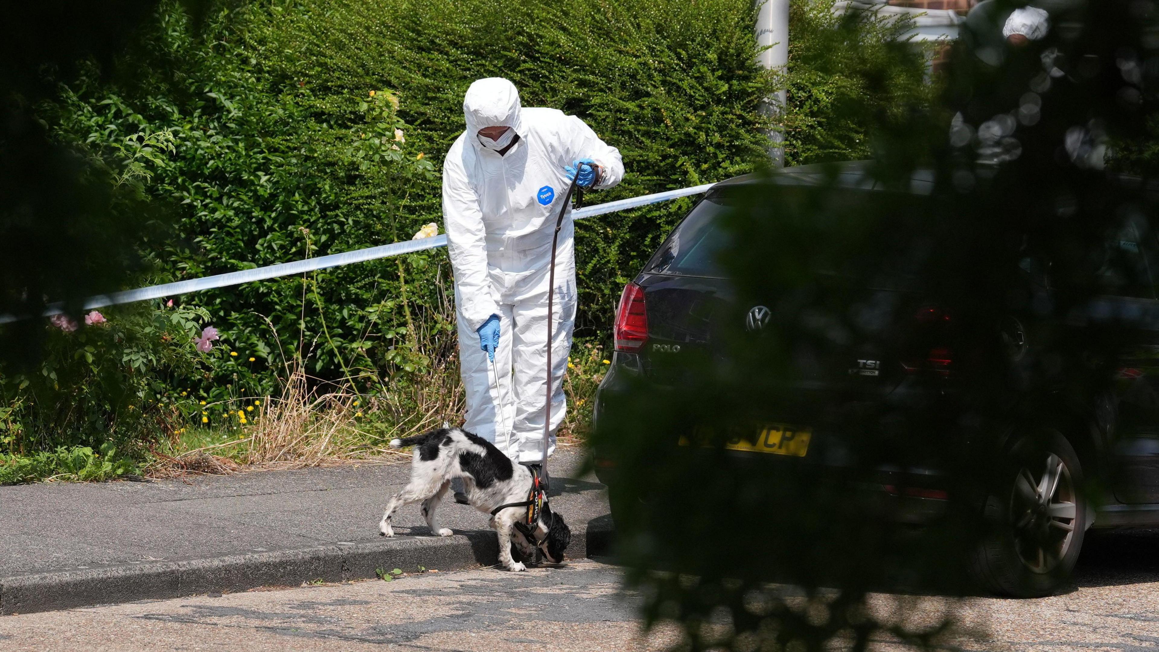 A forensic officer with a sniffer dog, searching where a moped was stopped