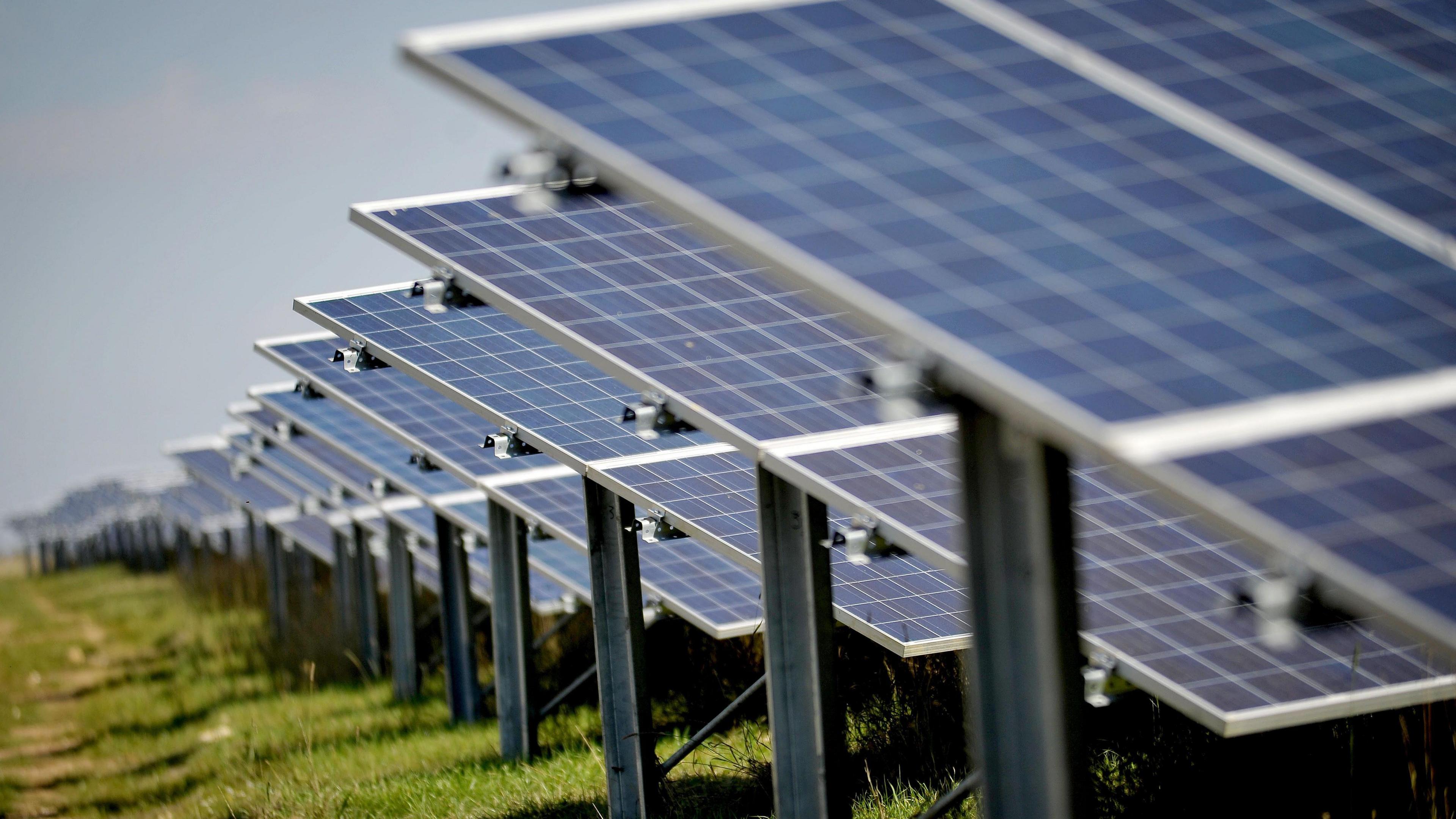 Solar panels in a field