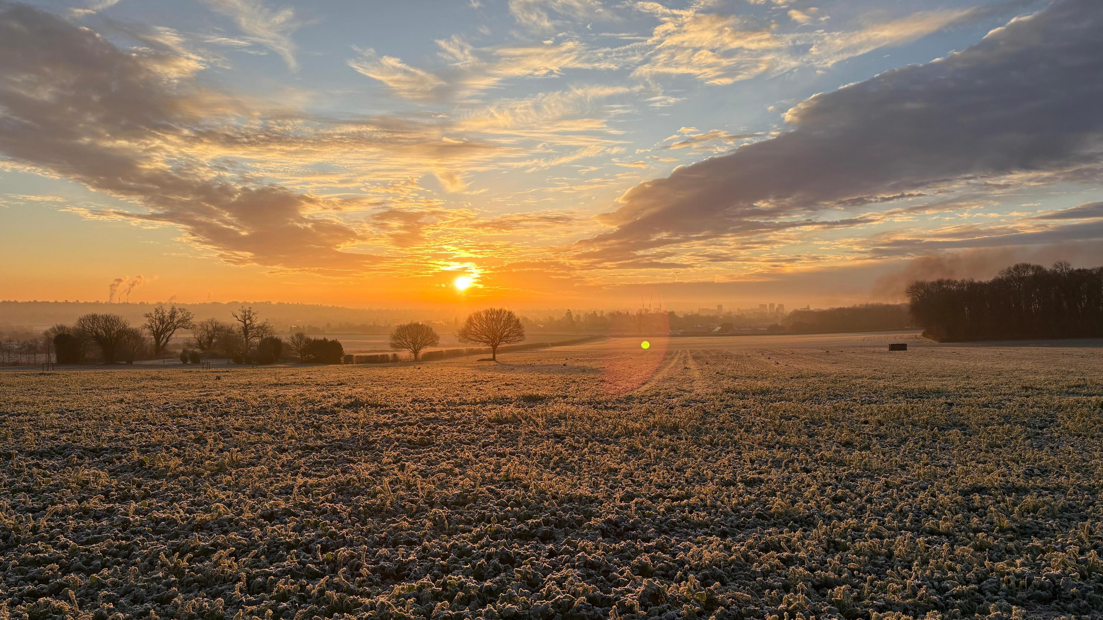 The sun rises over a frosty field. The sun is flowing orange in the sky. There are trees silhouetted against the sky. 