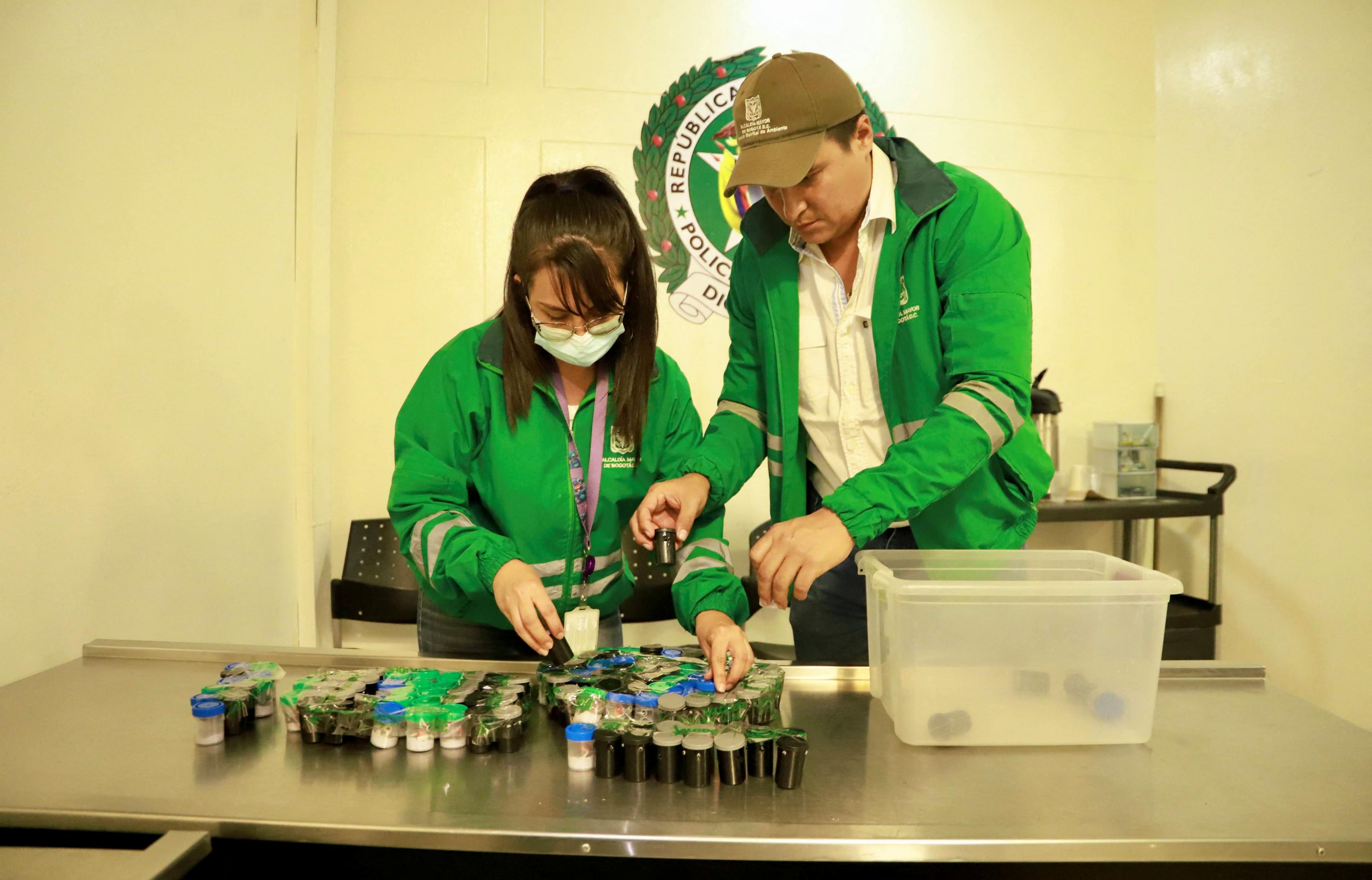 Workers look through a box of small film canisters