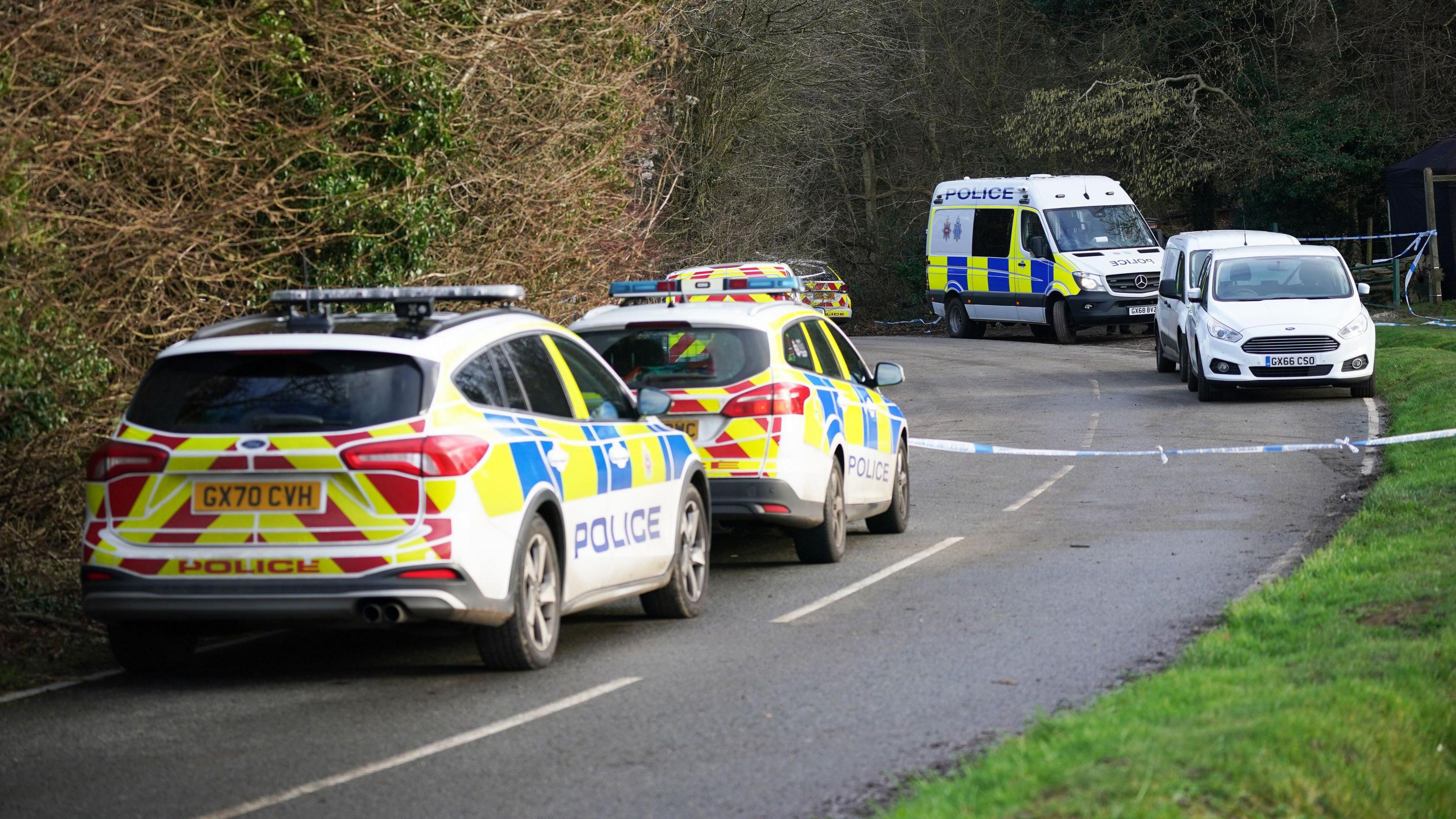 Police at Gravelly Hill in Caterham, Surrey, where a dog attacked members of the public