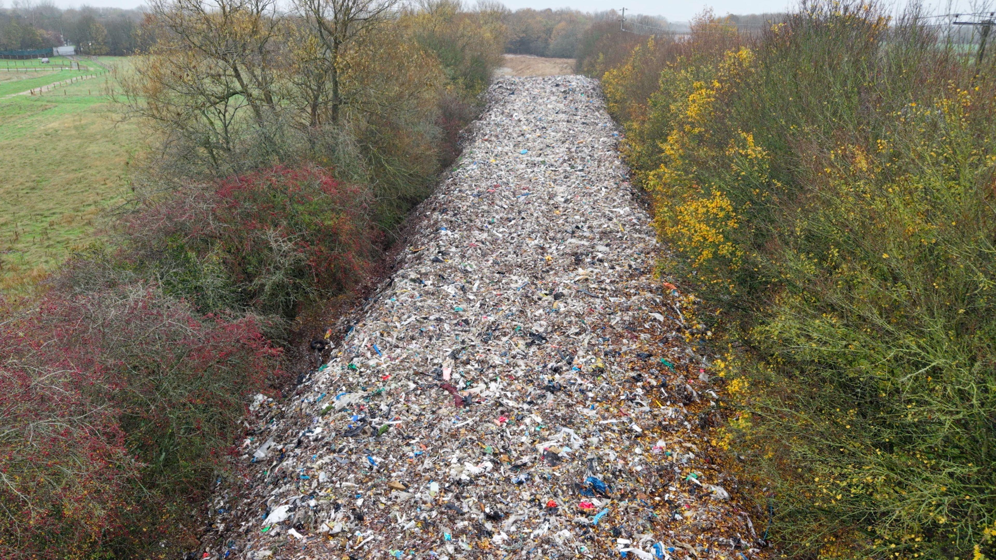 A large pile of rubbish between trees.