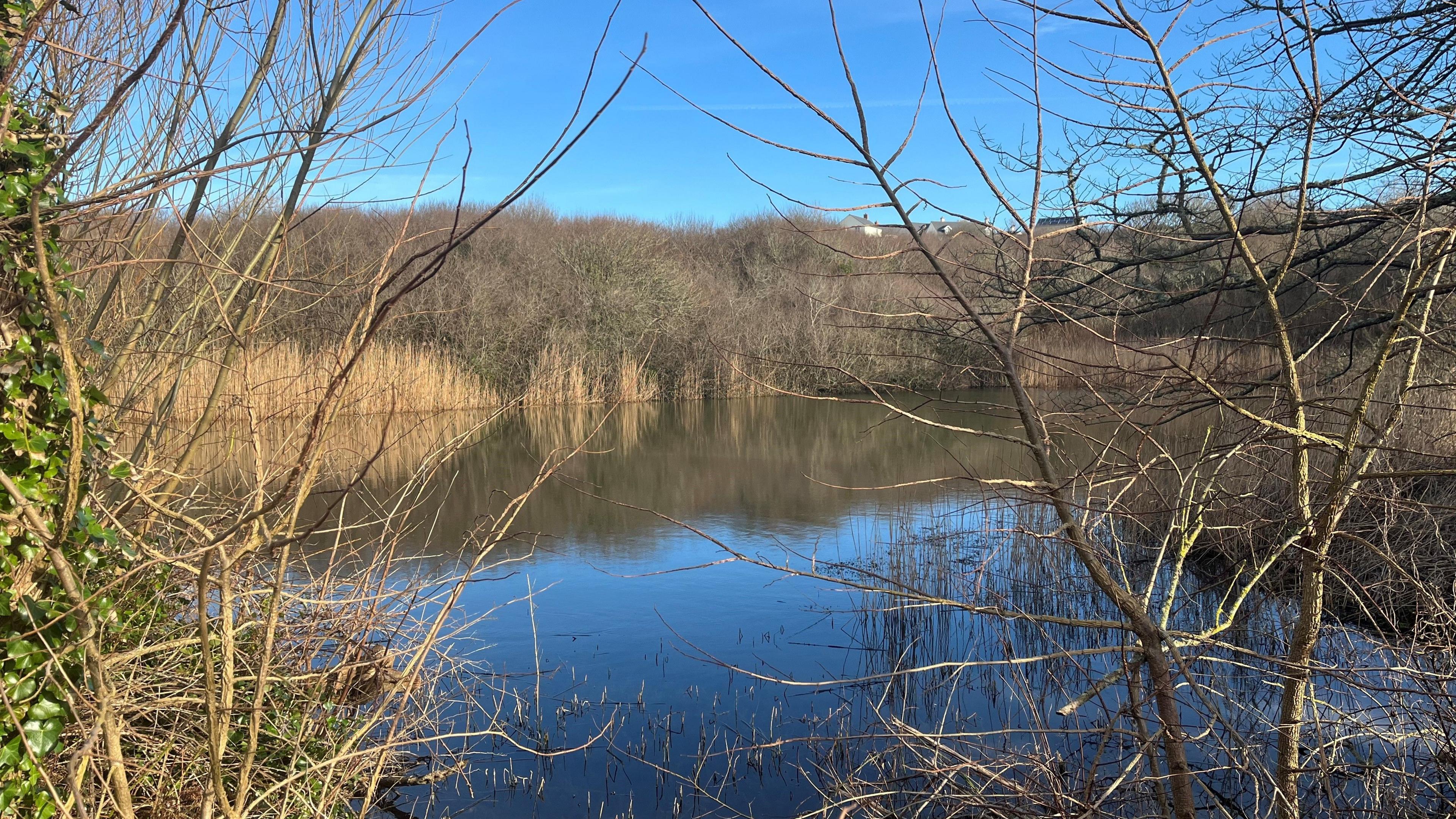 Slash Pond