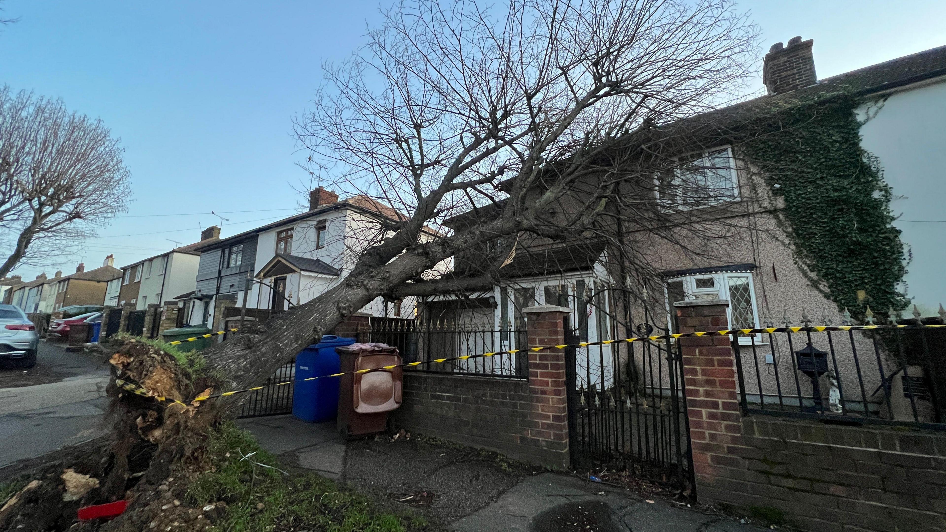 Fallen tree on a house