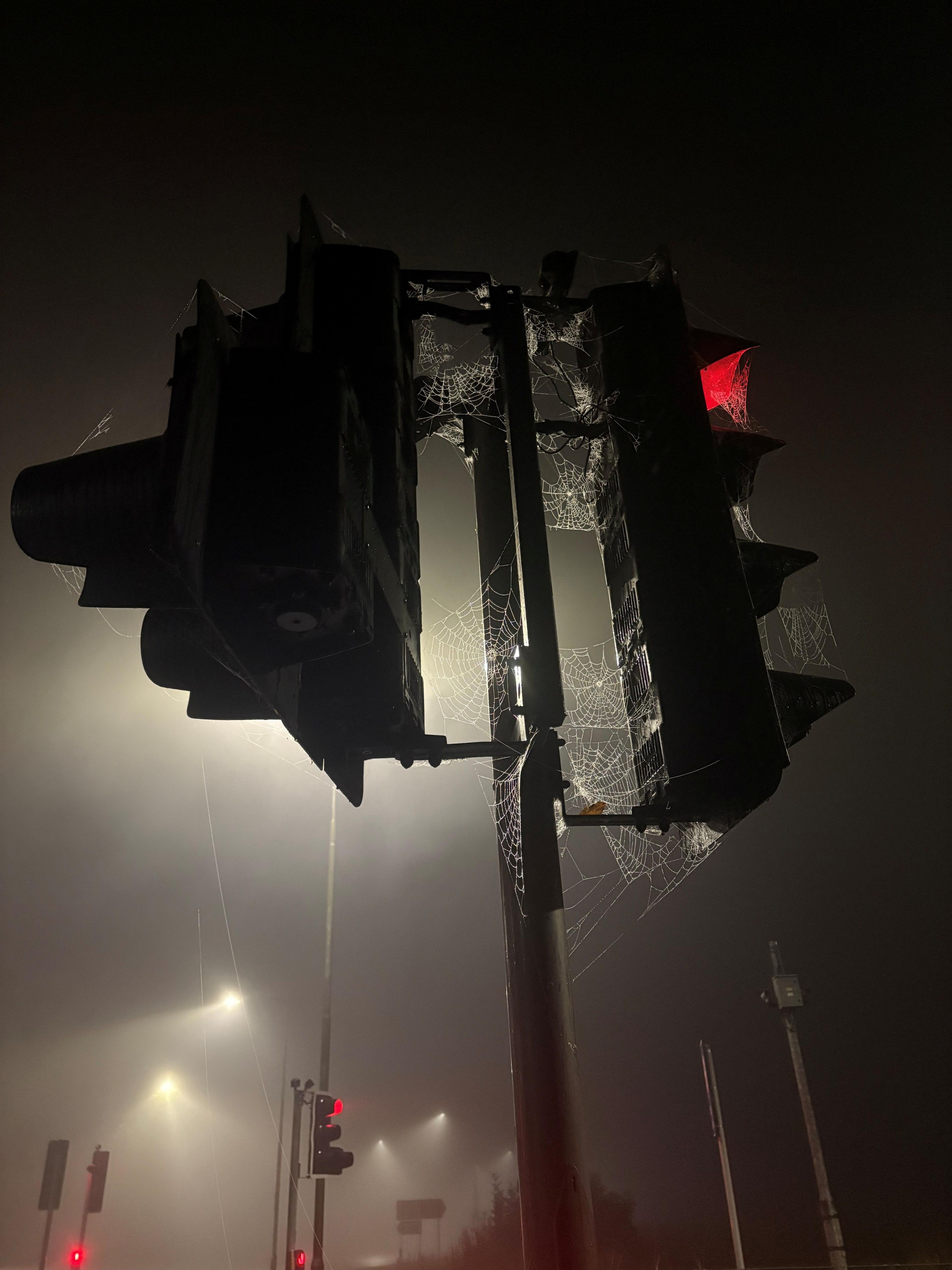 Traffic lights on a foggy morning. They are showing red lights while fake cobwebs cover them