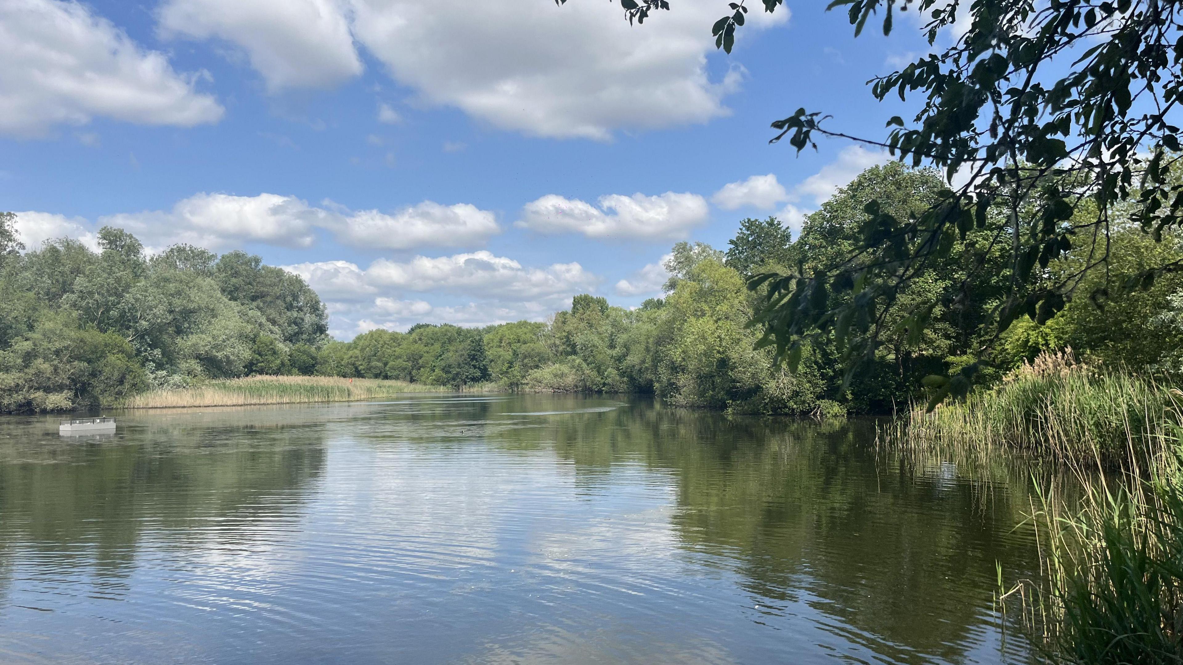 A general view of Bedfont Lakes Country Park
