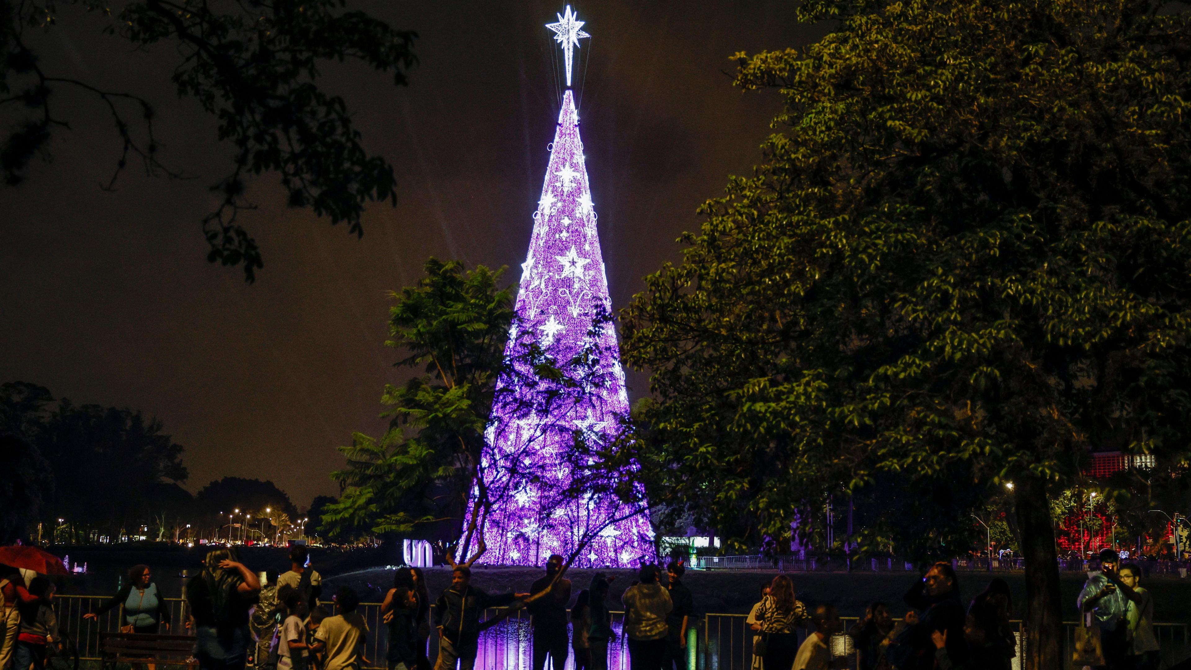 Christmas tree in Ibirapuera Park, in São Paulo, Brazil.