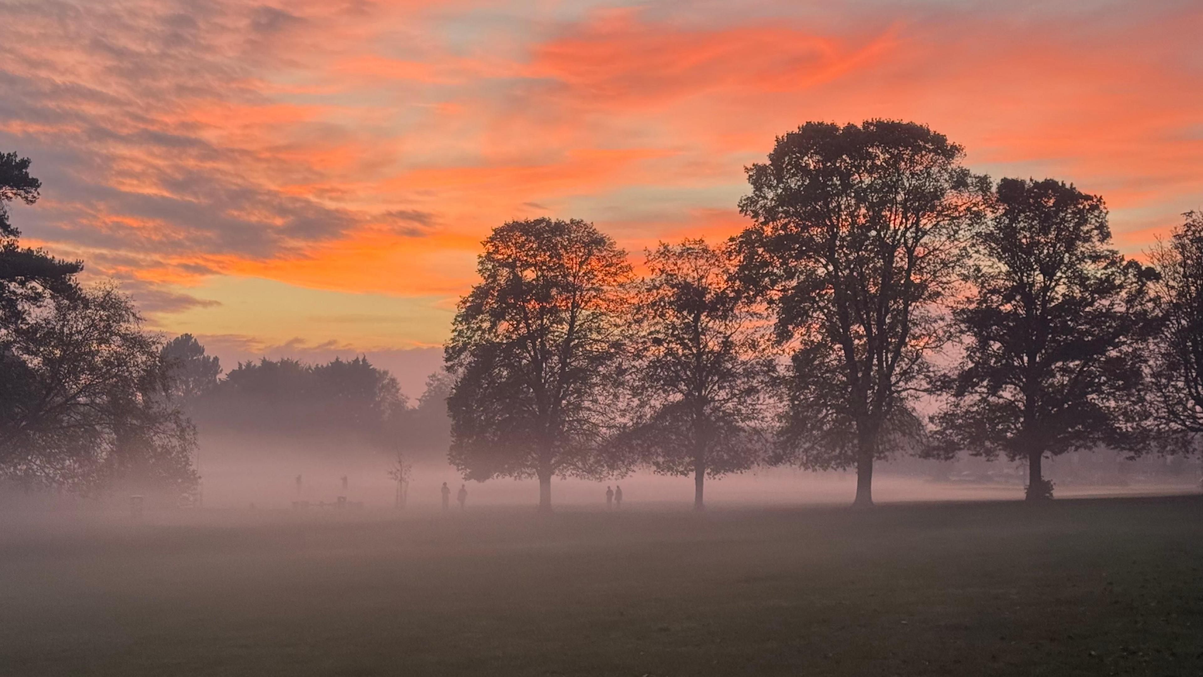 A layer of mist sits above a green parkland. Several trees are silhouetted against a darkening sky with bright orange clouds. A few figures can just about be seen through the mist.