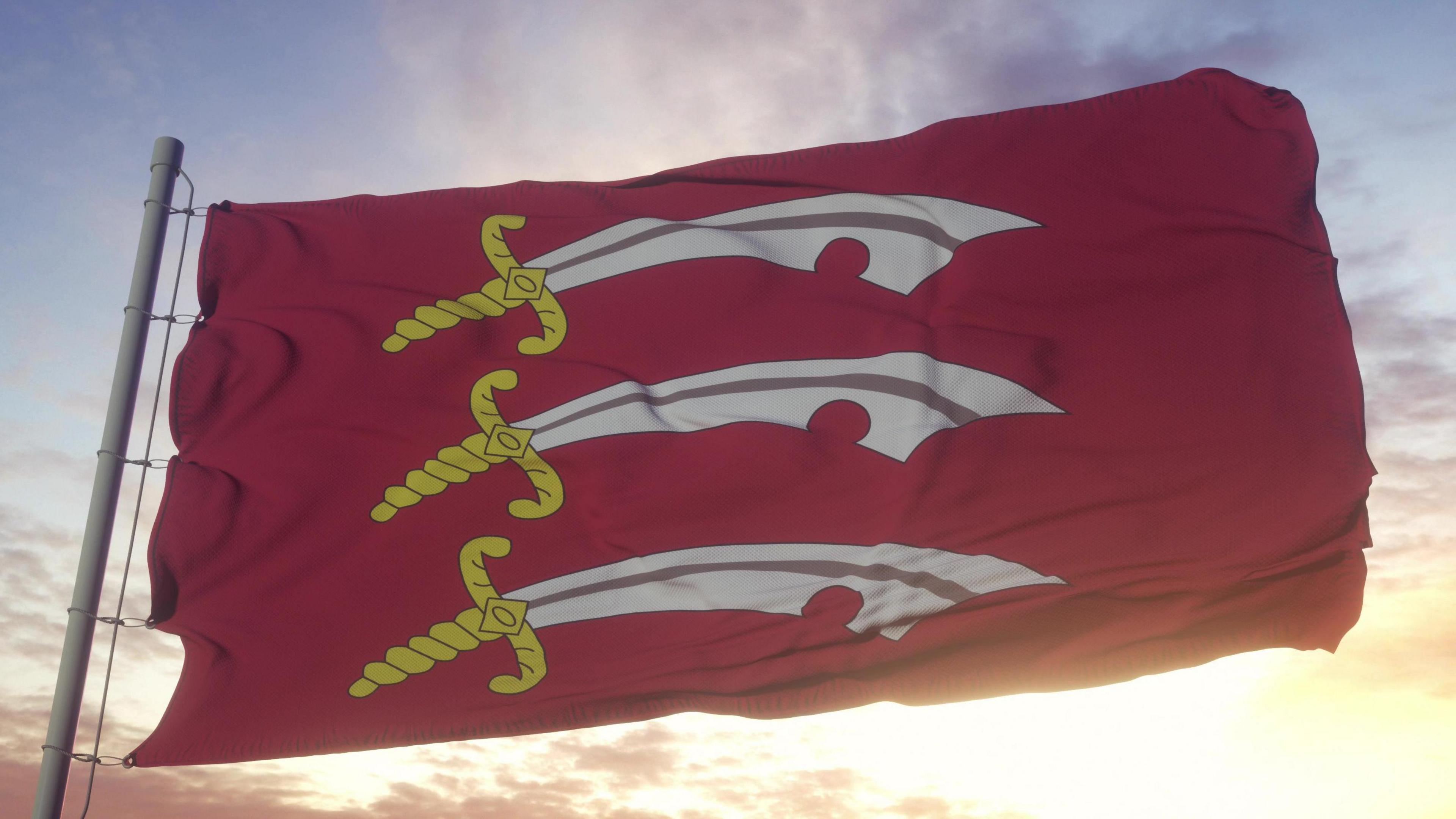 The red flag with three seax swords printed on it, with the sun rising or setting behind it creating a partial silhouette.