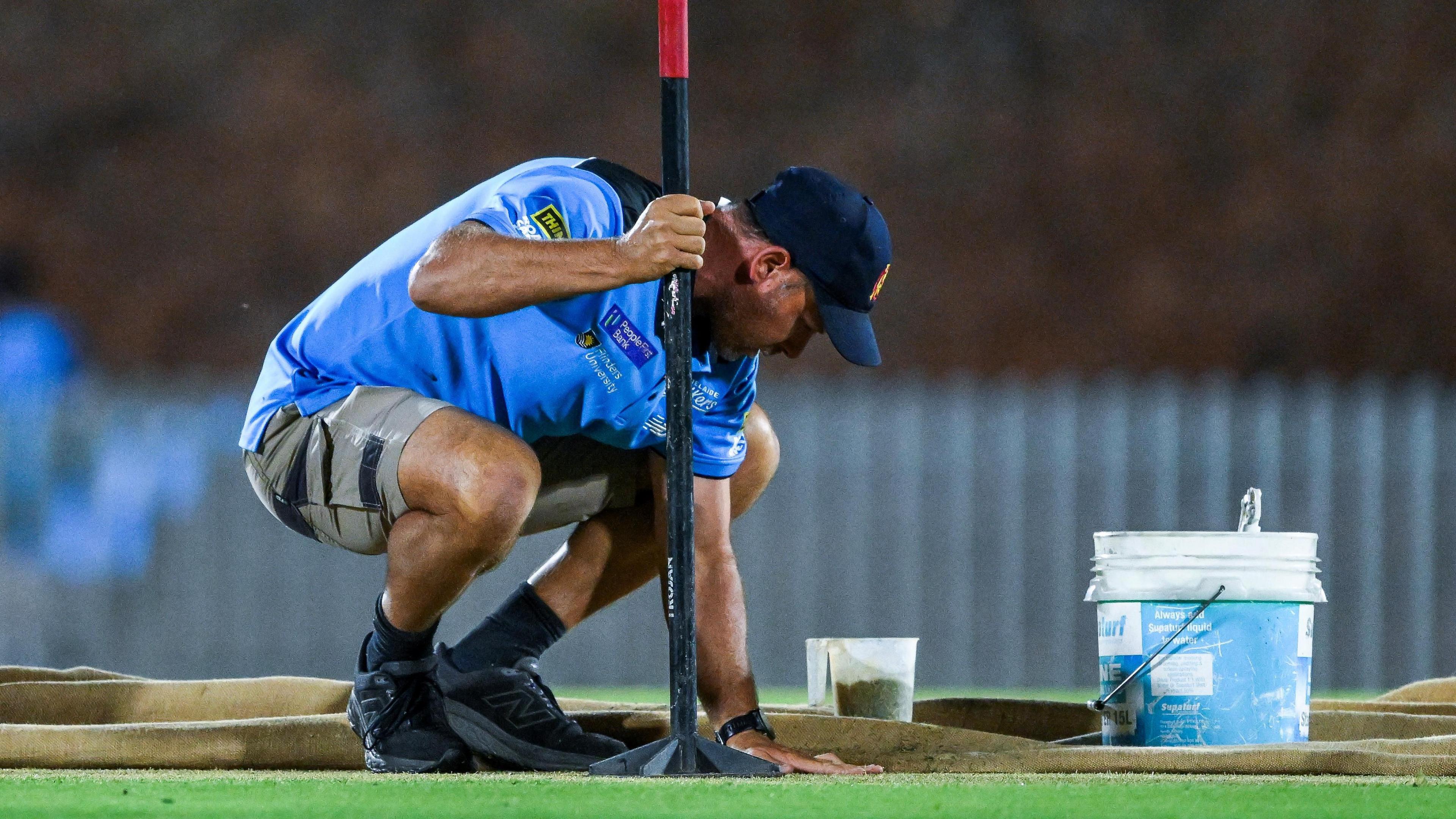 Groundstaff attend to pitch in Adelaide