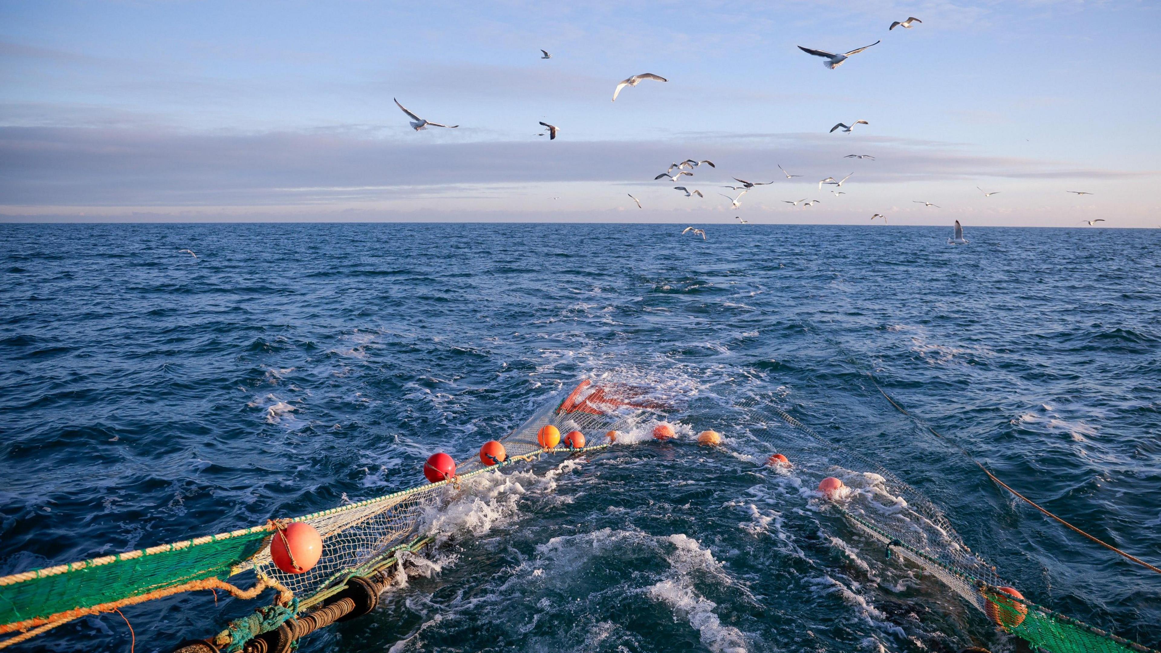 A trawler at sea, being followed by gulls