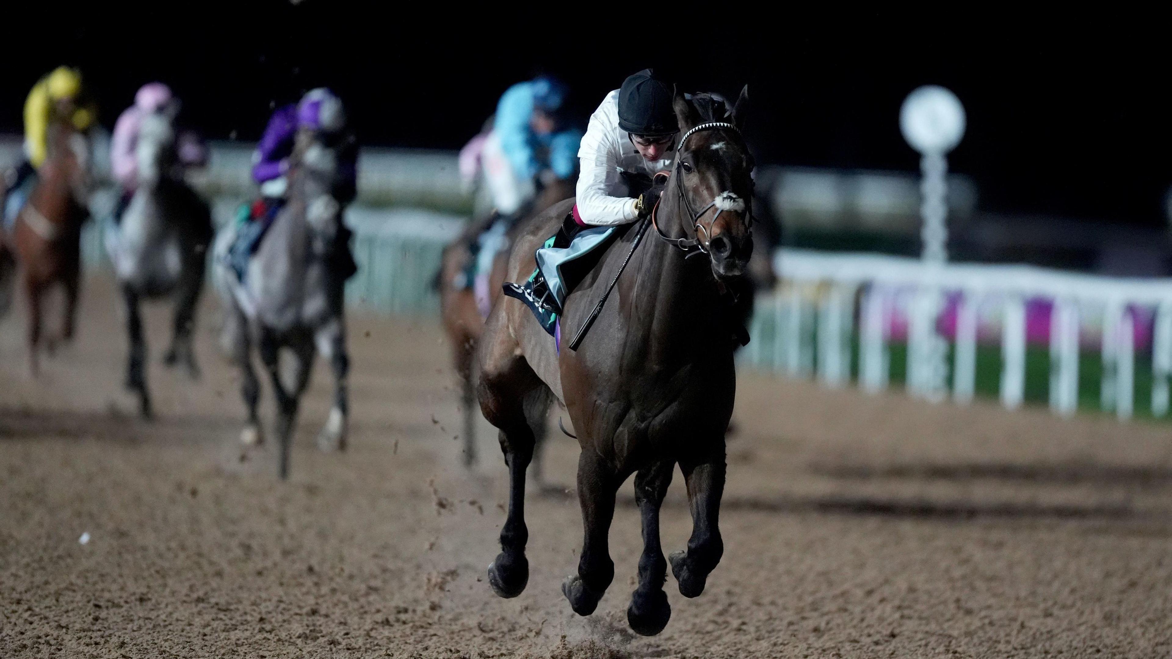 Constitution Hill approaches the finish line in the Road To Cheltenham Novice Stakes.