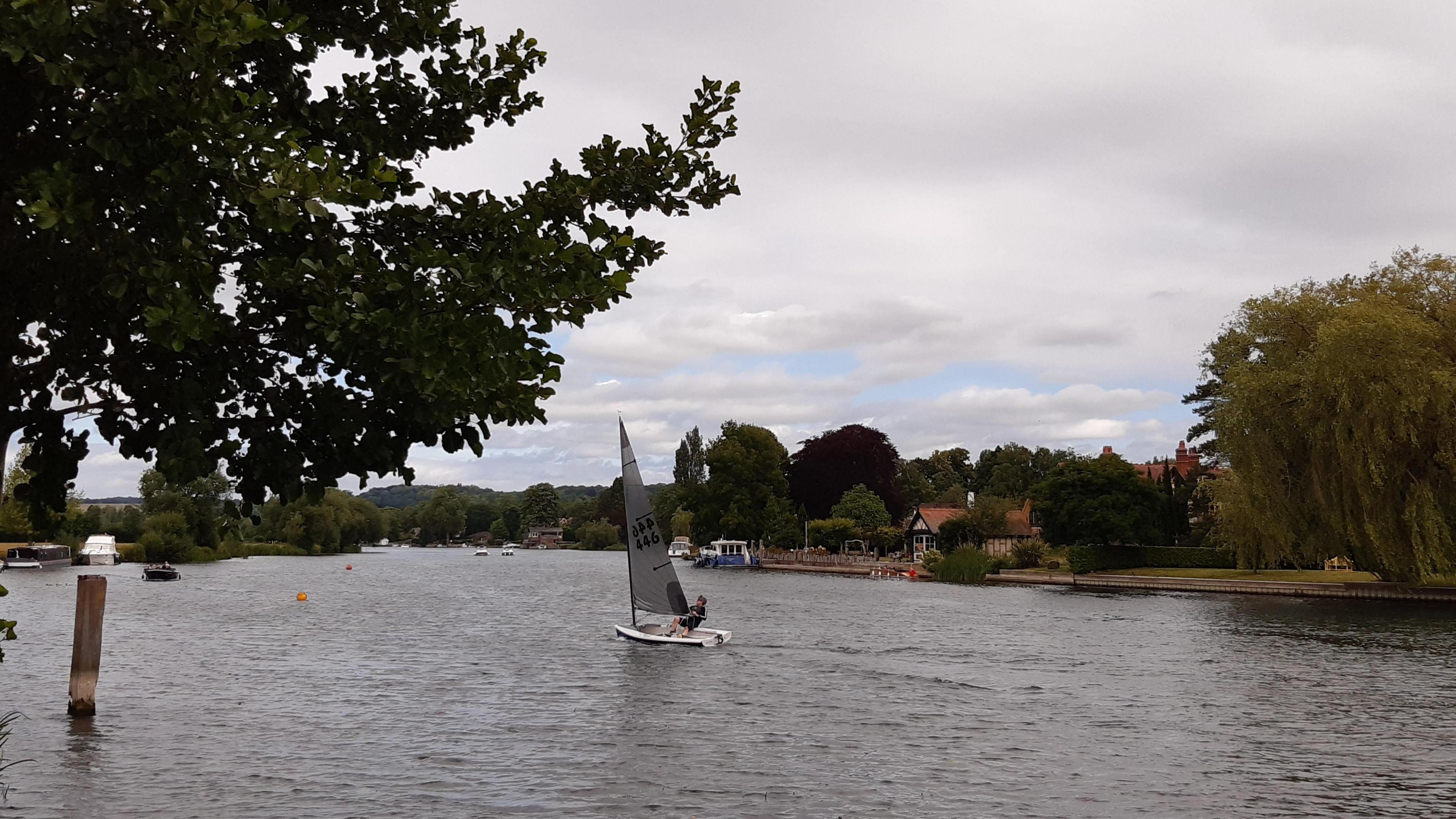 SATURDAY - A sailor in a white dinghy in the middle of the river at Cookham. There are trees overhanding the water on both sides of the bank and on the far side is a house with a red tile roof.