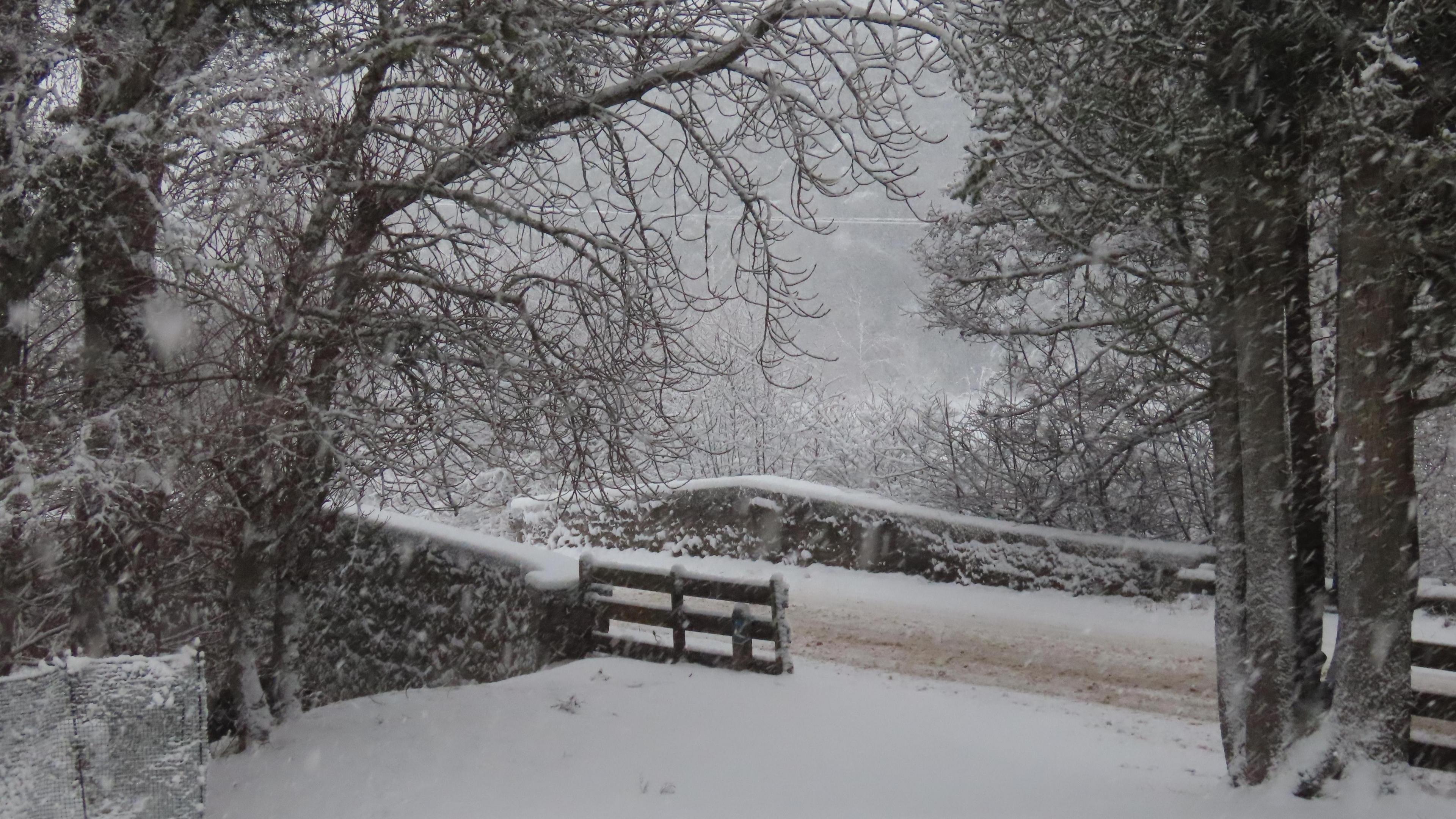 Nethy Bridge