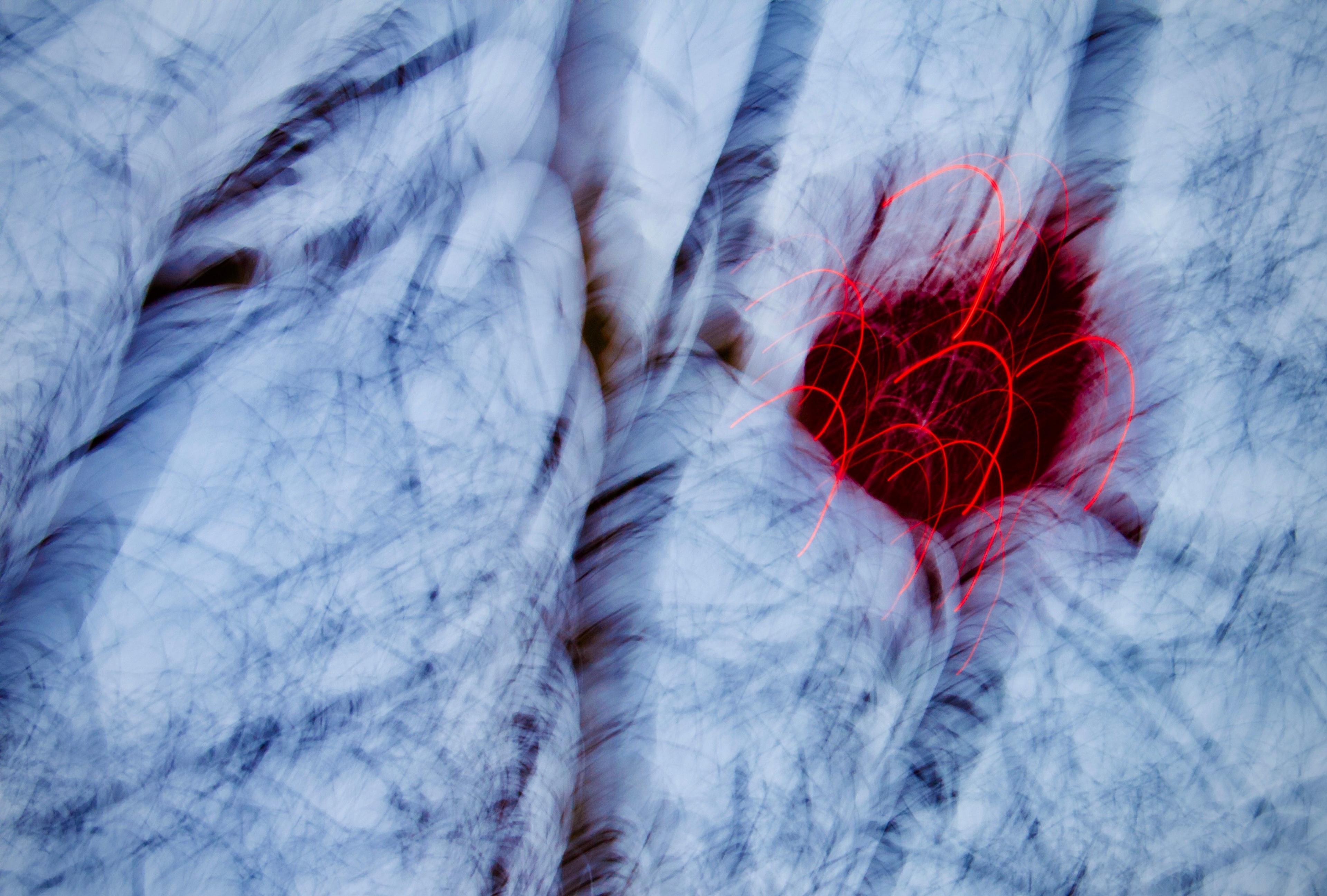 Bright red lights on tree branches blurred by movement