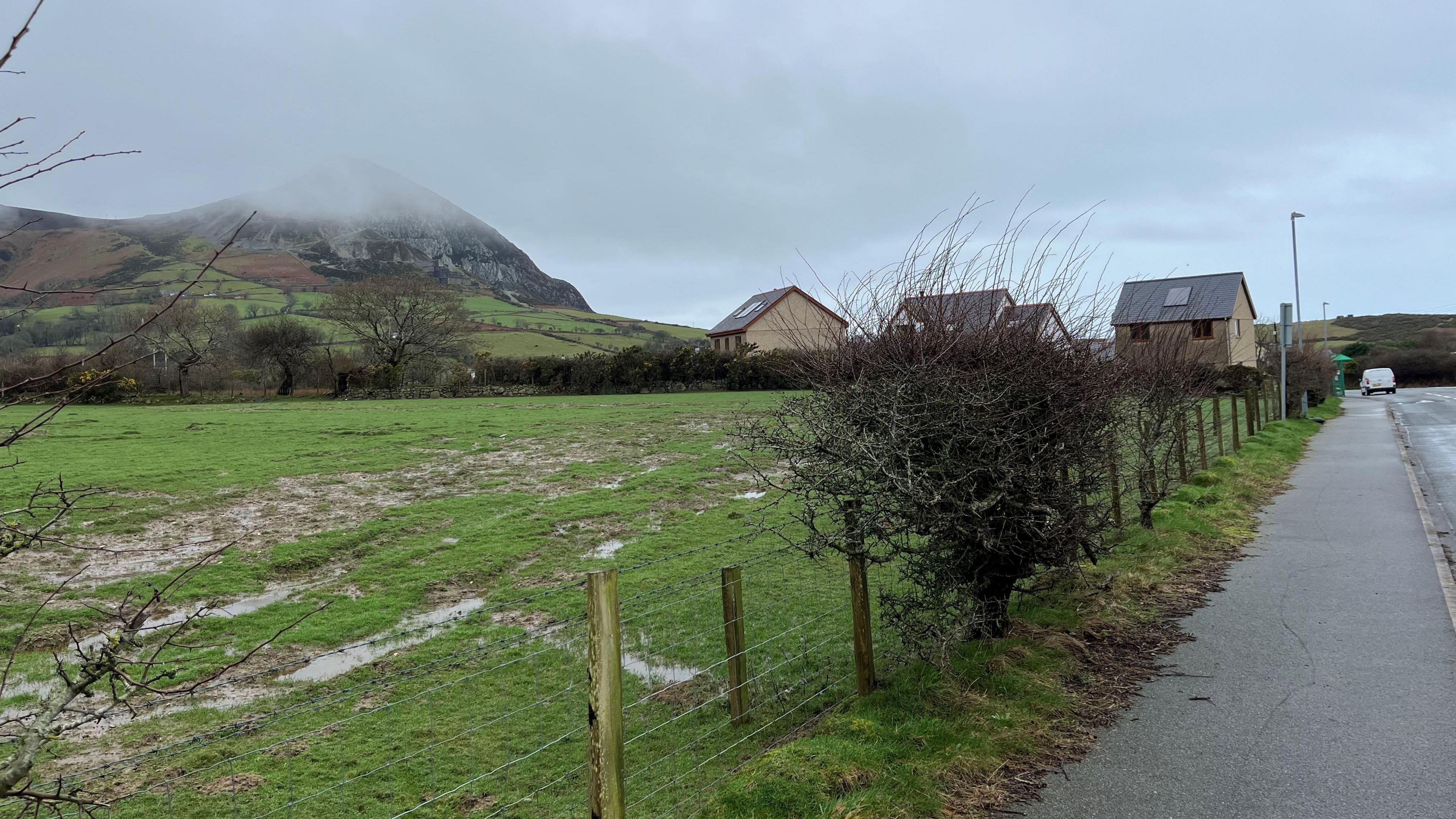 Llun o'r cae mae'r cais i ddatblygu 15 dai yn Nhrefor