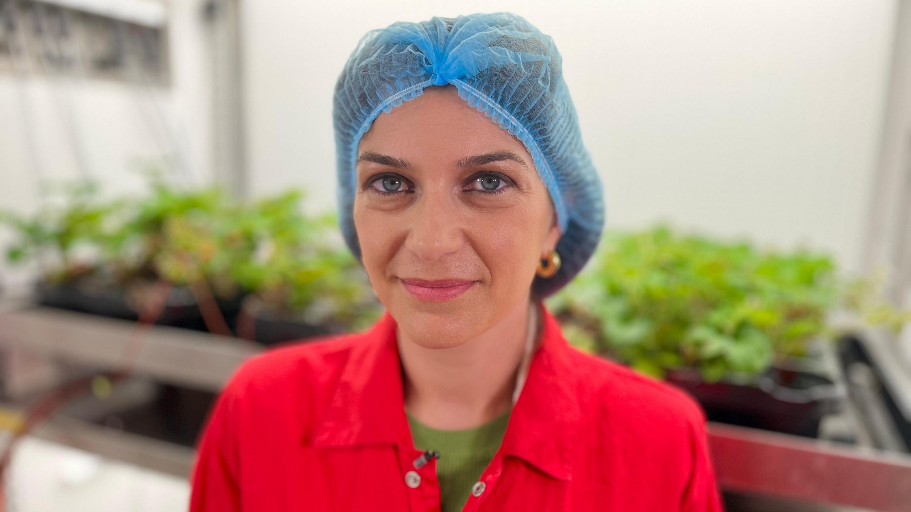 Rosario Campilongo inspecting strawberry plants