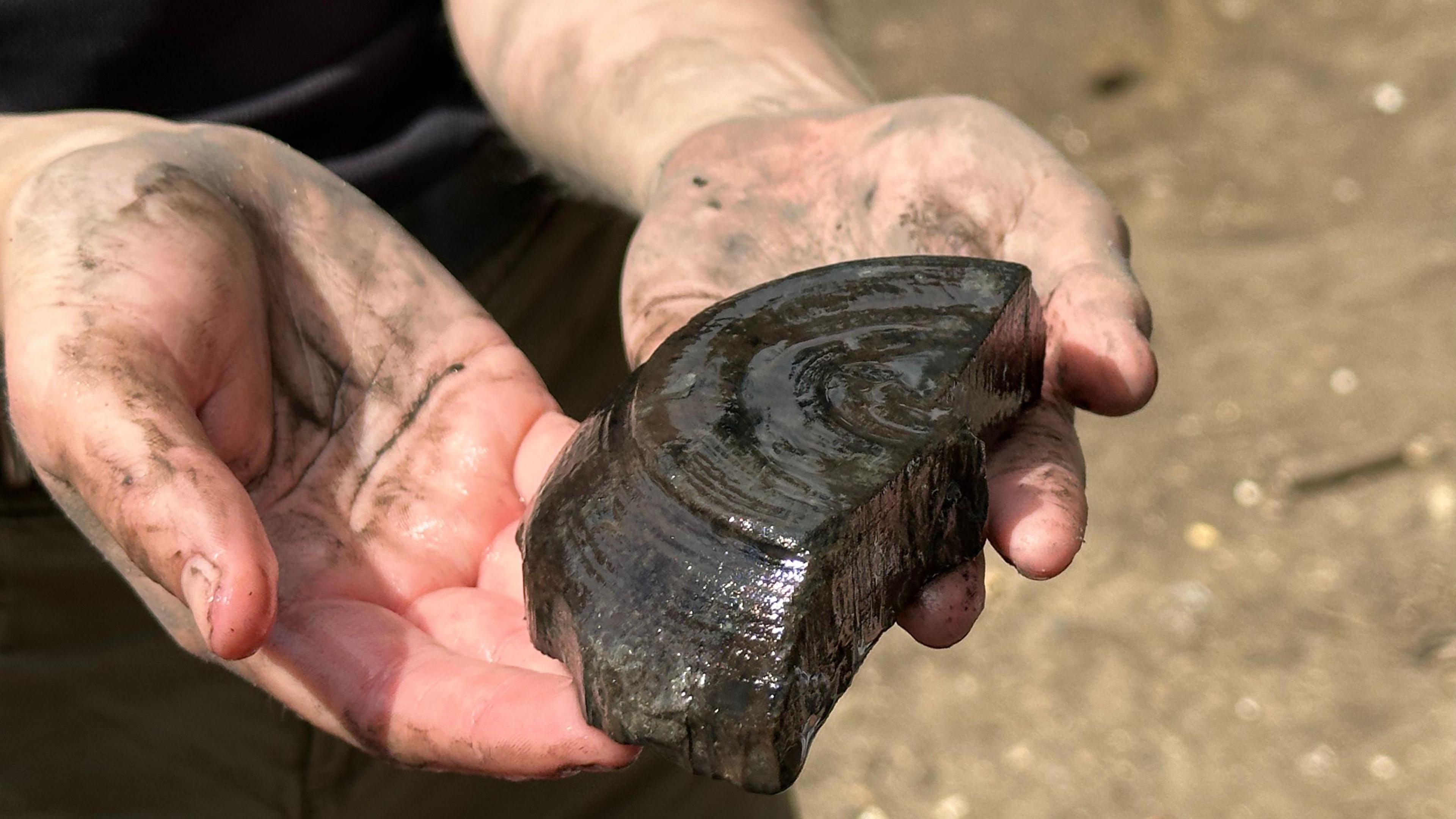 Dirty, muddy hands holding an item found on the dig - part of a wooden bowl that was preserved in a well