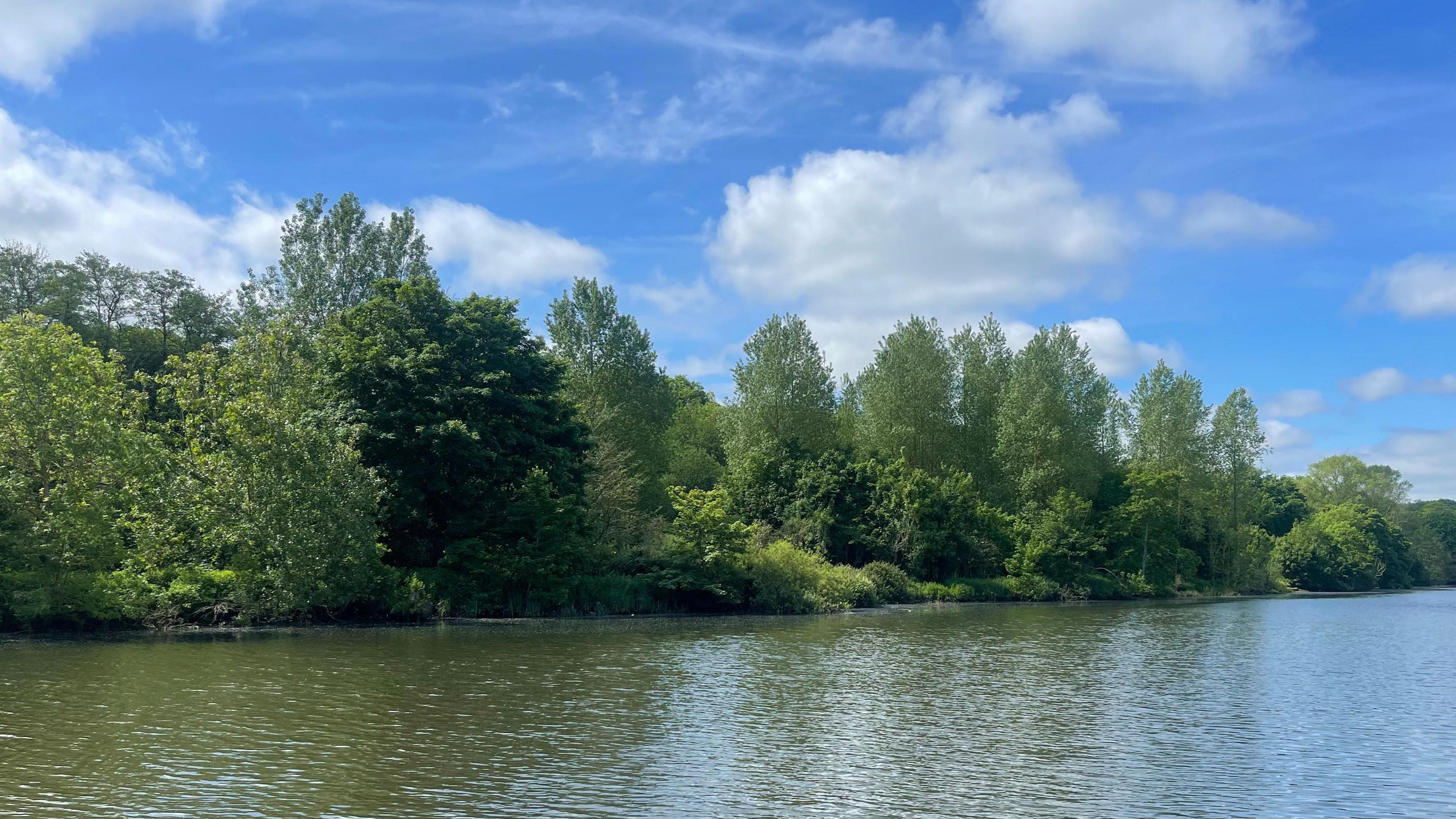 A river is lined by low-hanging trees under a blue, cloudy sky.