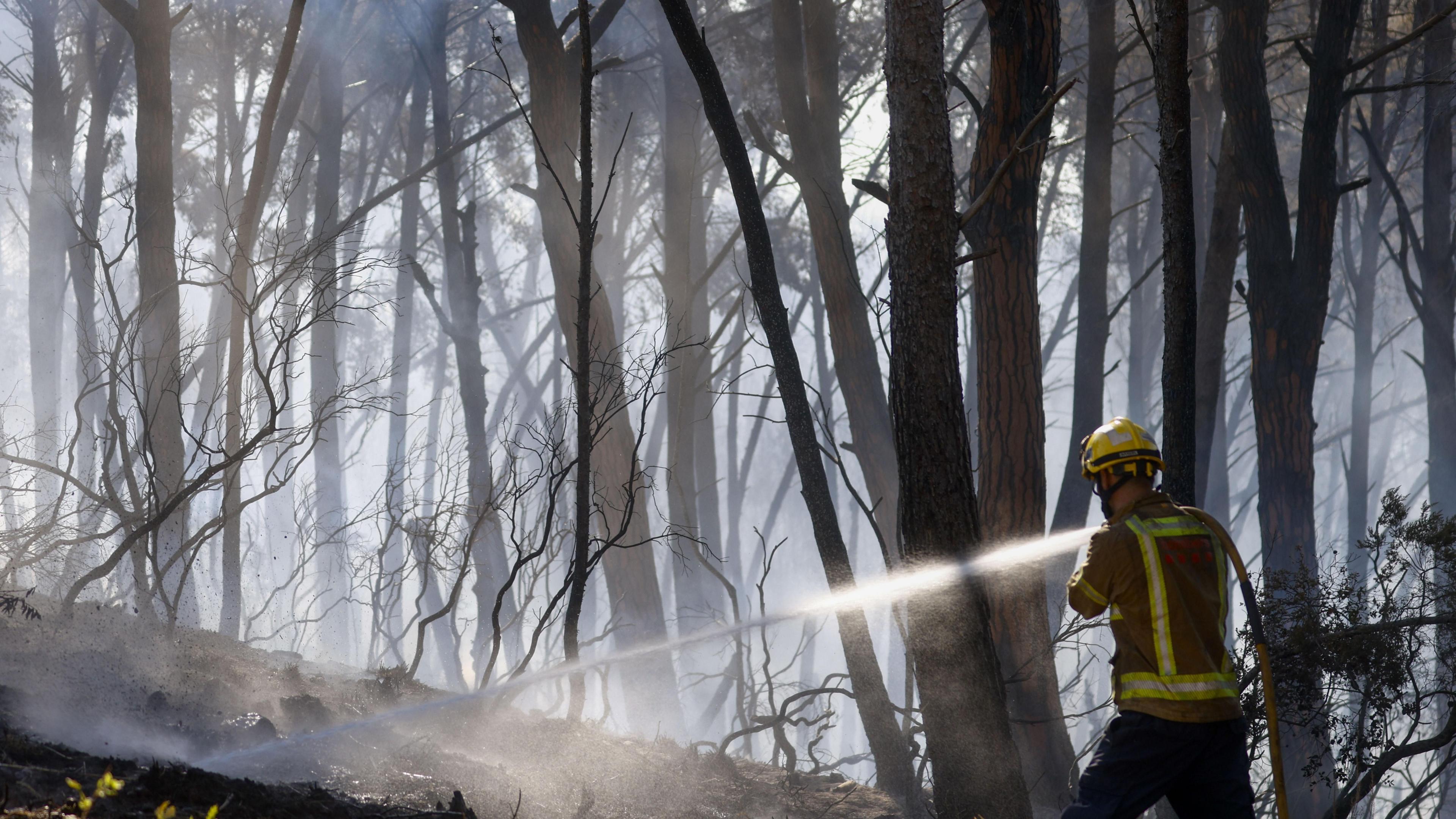 A firefighter sprays water on fire in a forest in Spain