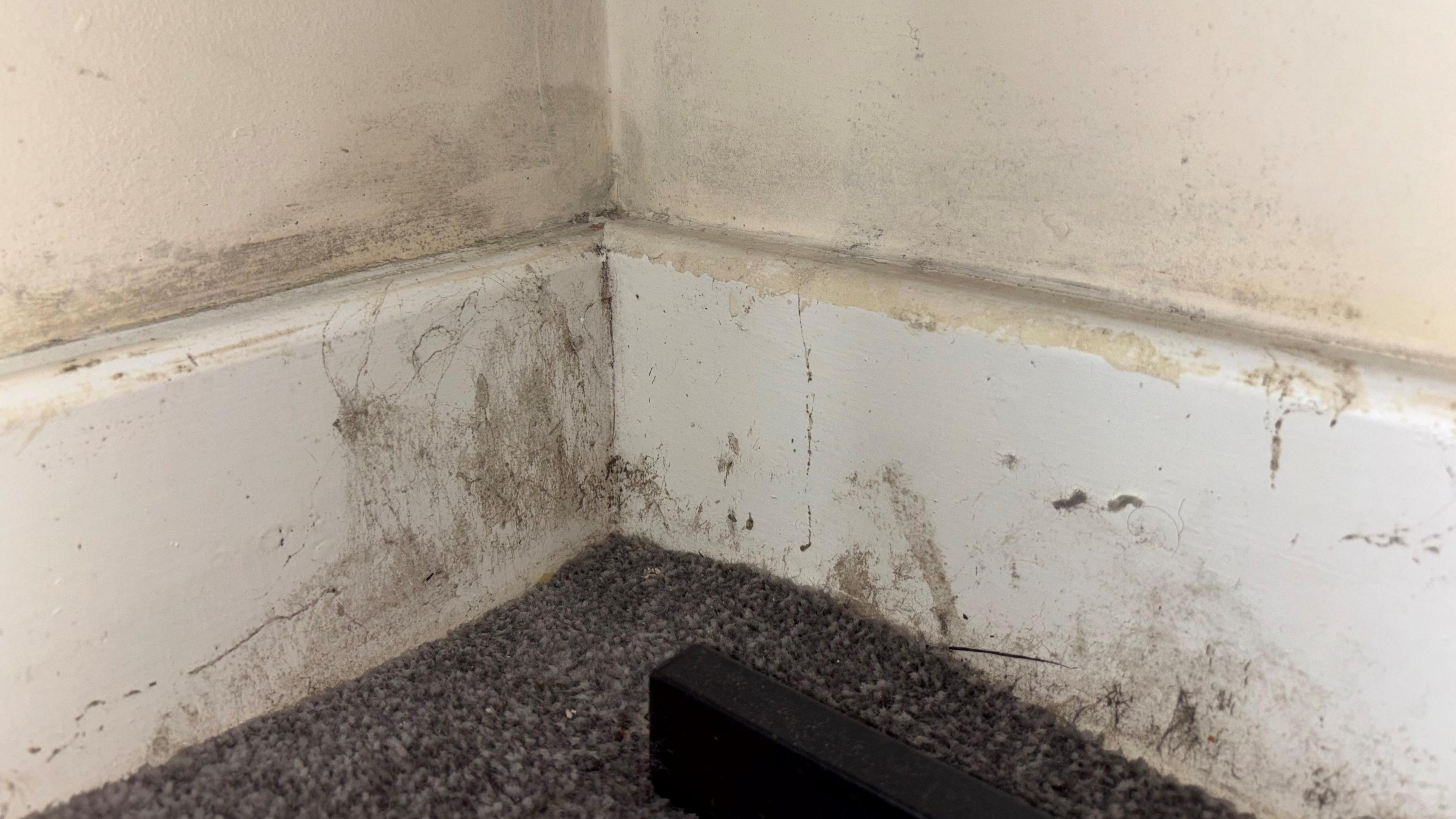 Skirting boards and walls left with water damage of flooding