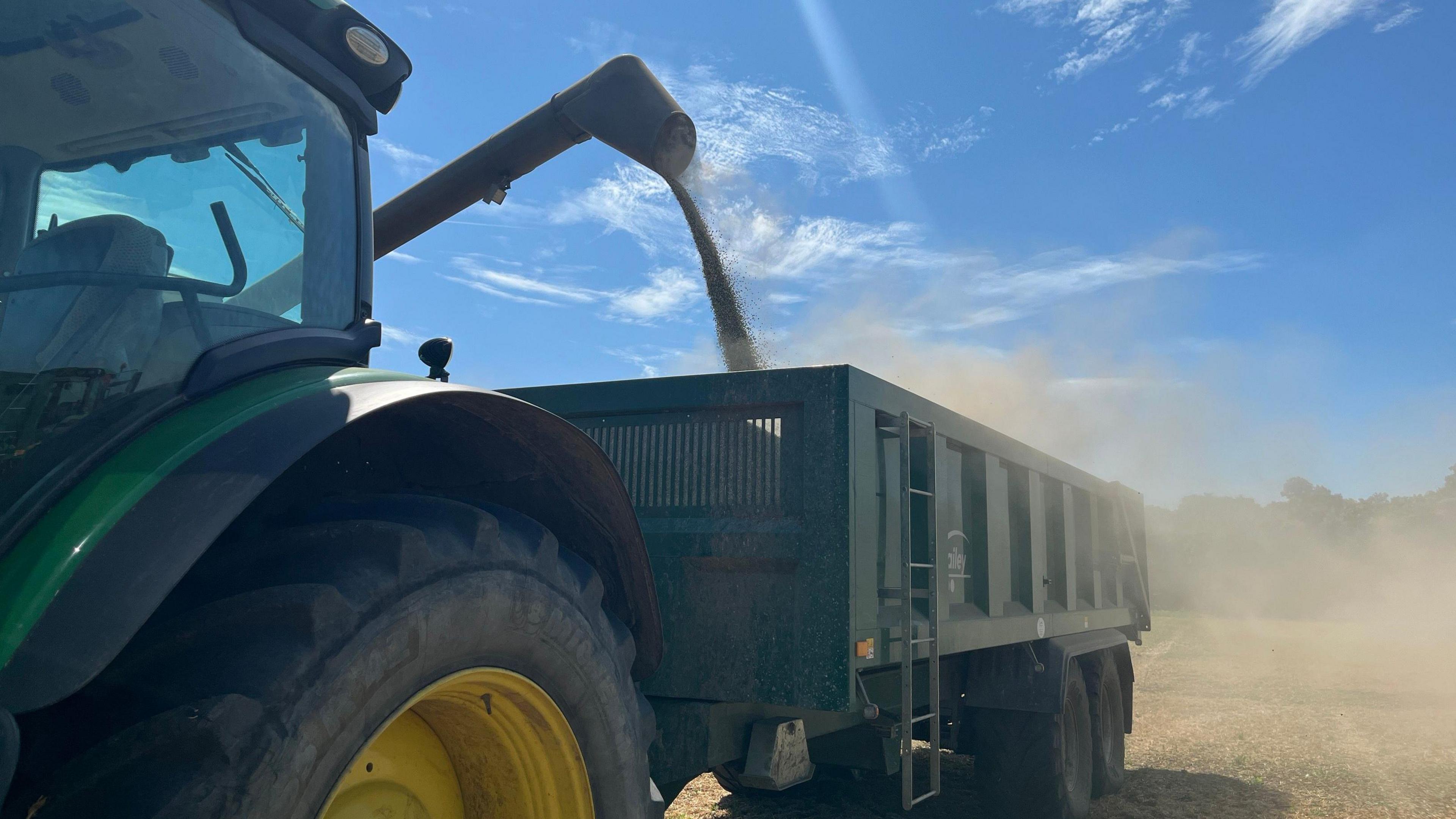 A close-up of a tractor and behind it grain pouring into the trailer it is pulling