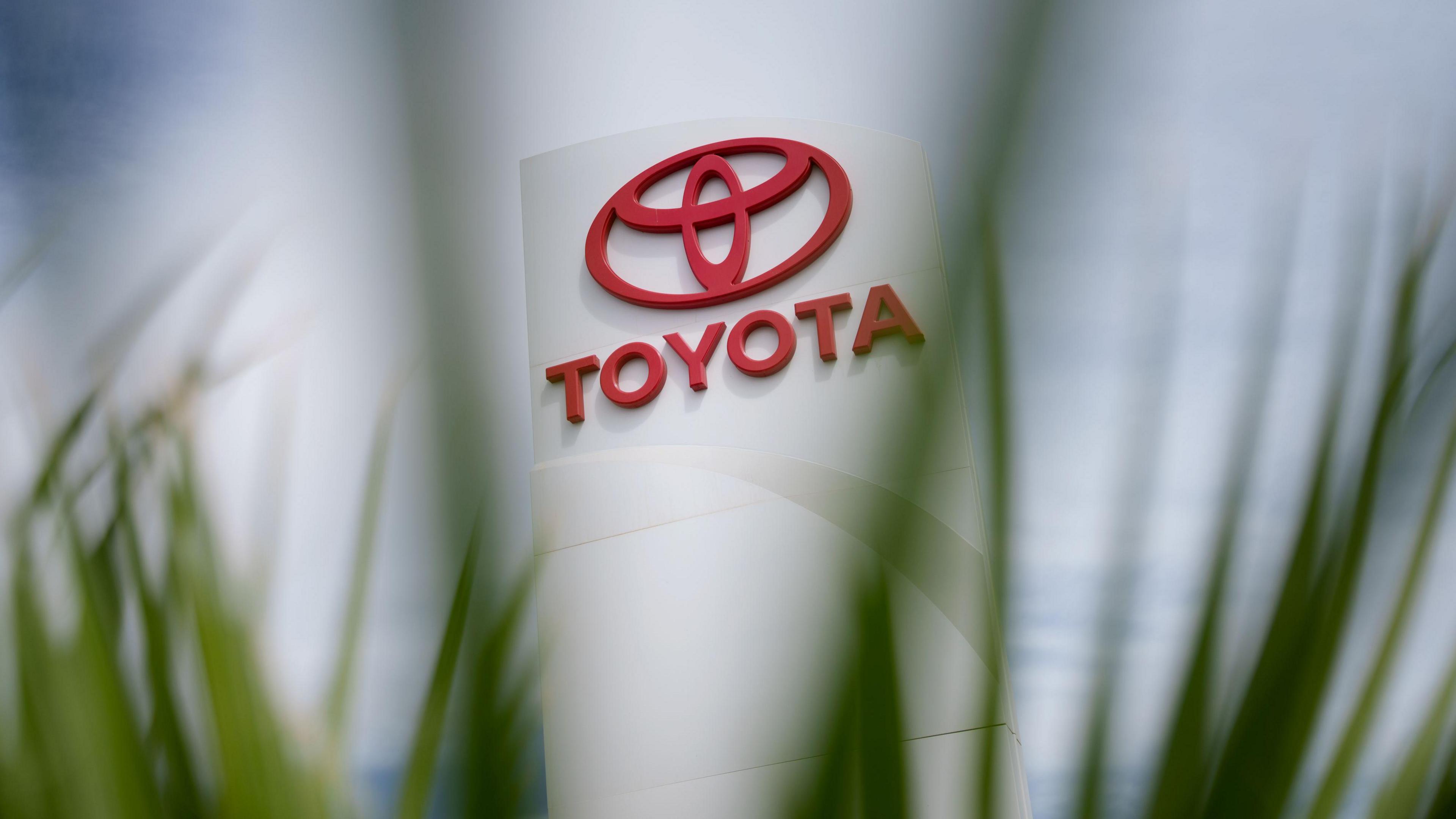 A red Toyota logo with the word TOYOTA underneath on a tall white sign. The sign can be seen between blades of blurred grass in the foreground