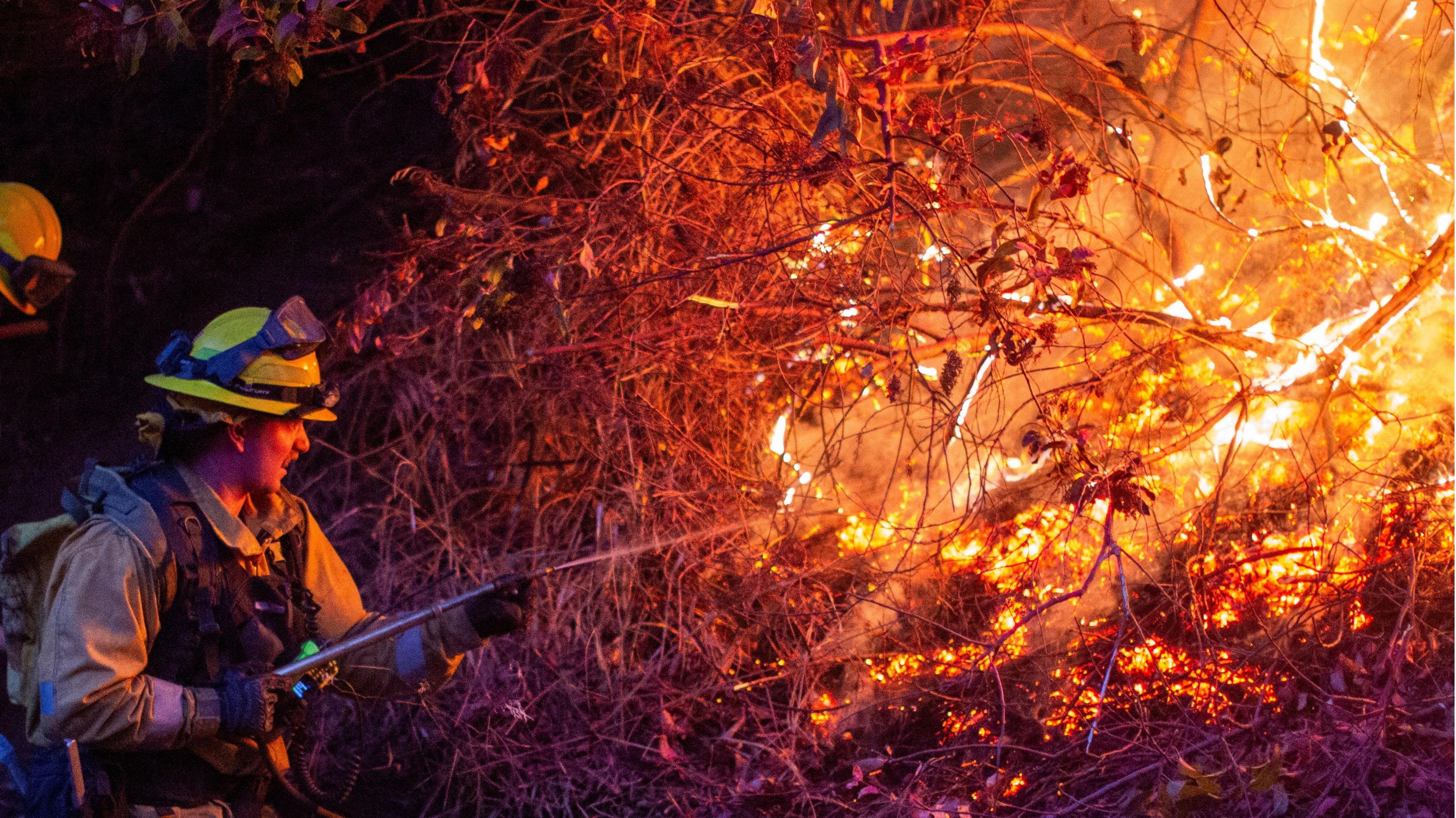 Firefighters try to extinguish a burning bush at the Palisades Fire.