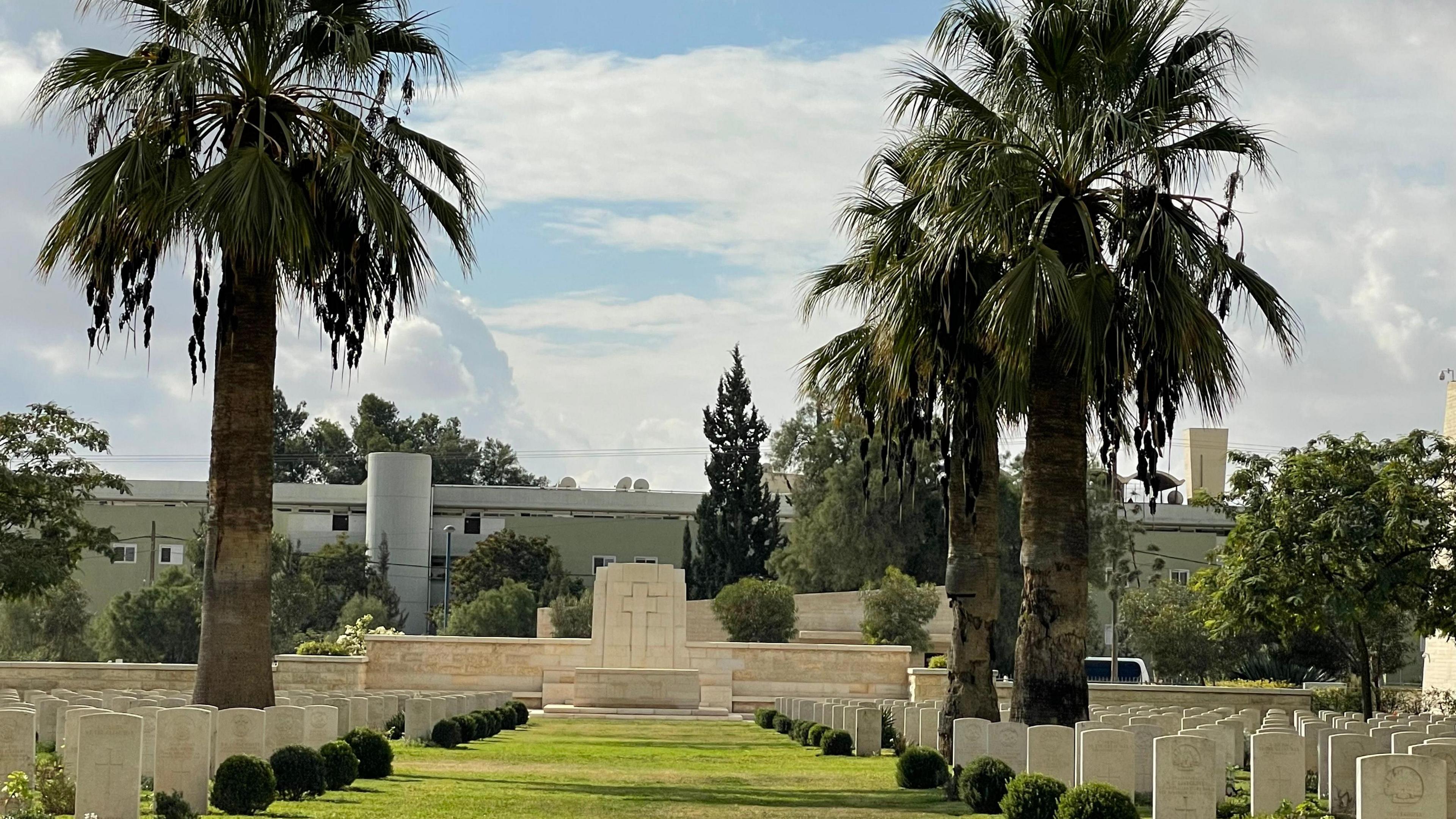 Palm trees and graves in a line in a cemetery in Israel