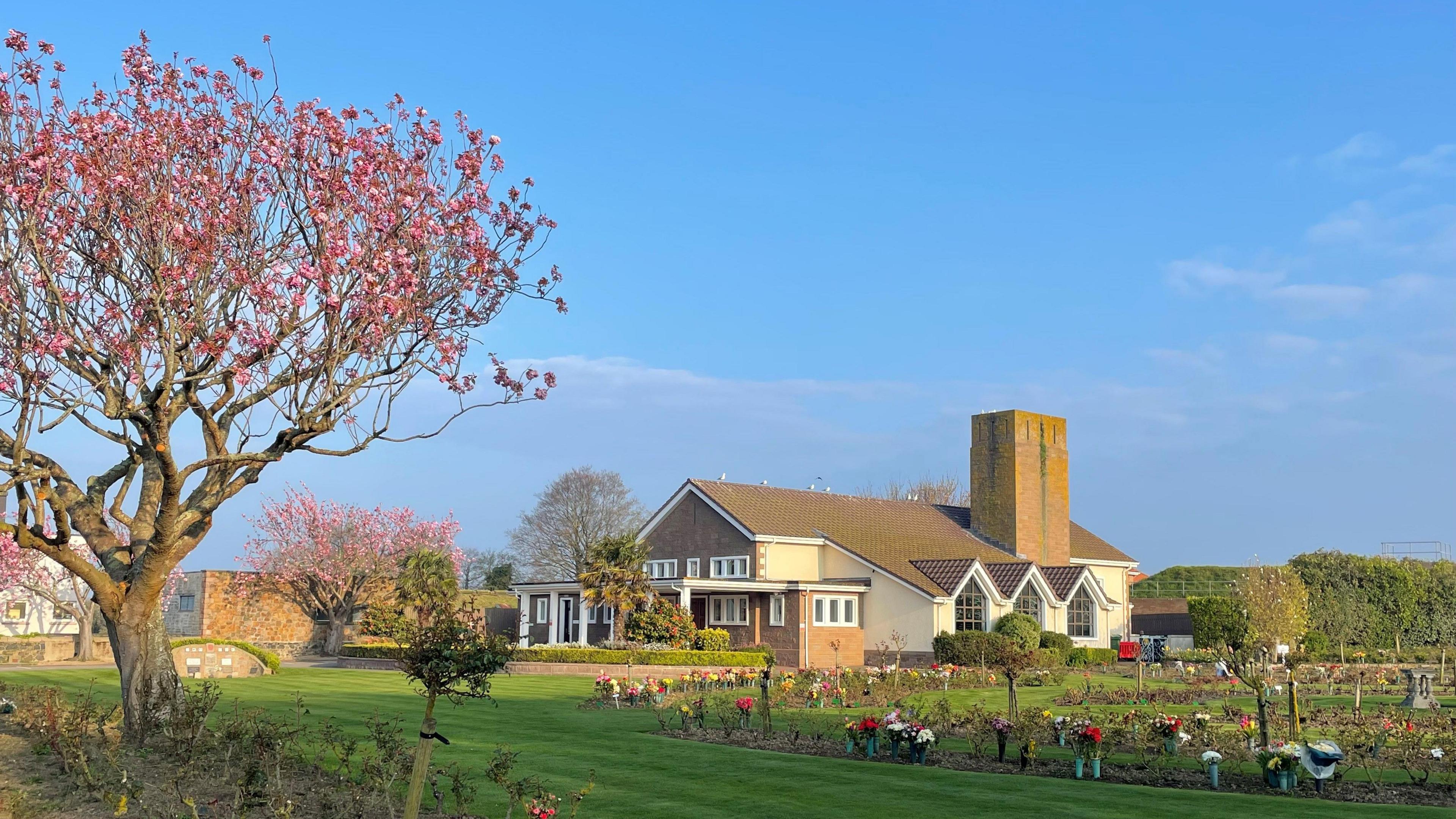 The Jersey Crematorium memorial garden. The garden has sections of different flowers and trees. In the distance, to the right, is the building. On the left at the forefront of the image is a tall tree with pink flowers on its branches.