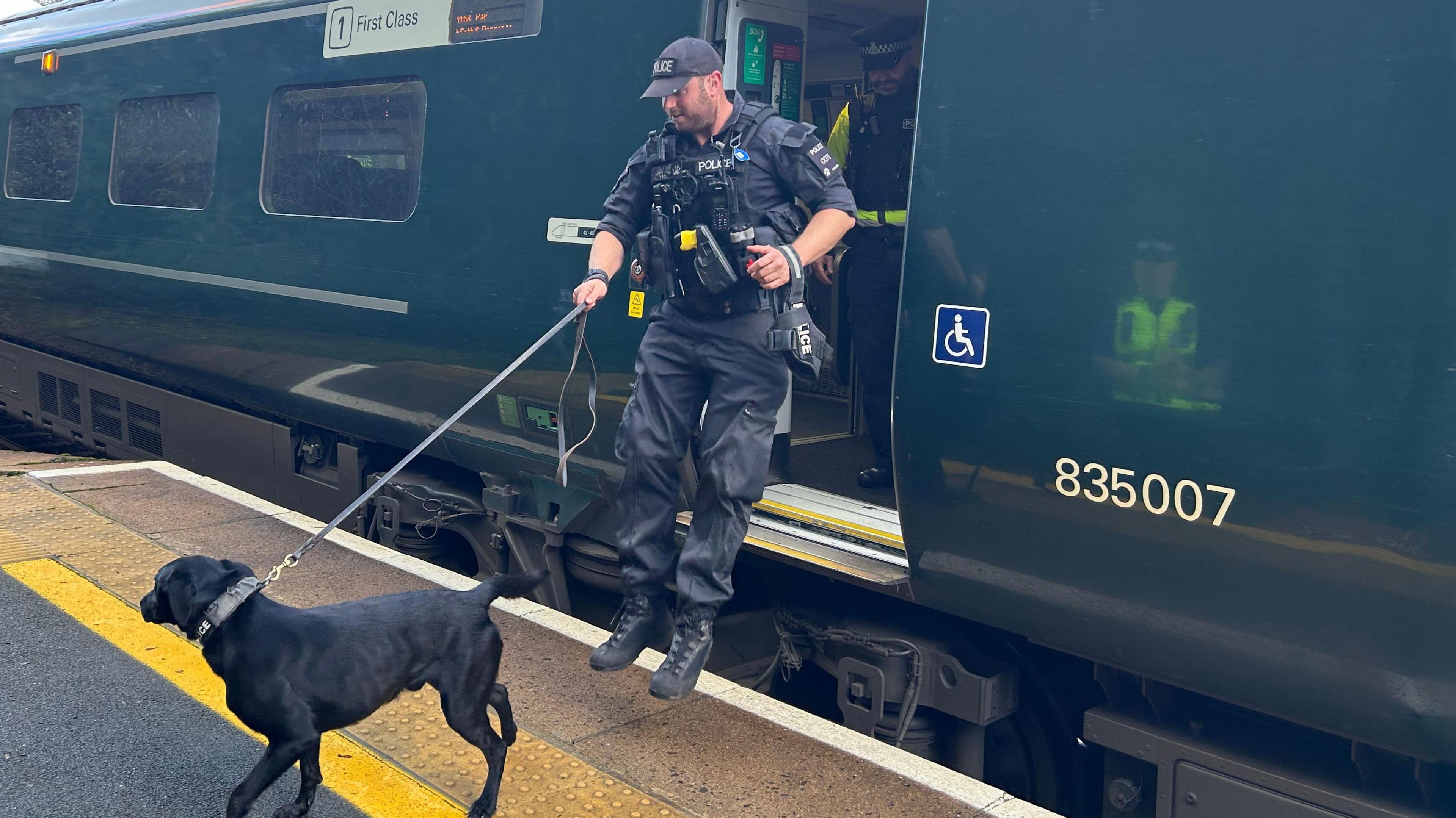 A police officer, dressed in uniform, is jumping out of a train door and onto a railway platform. He is holding a dog lead which is attached to a black Labrador which is walking along the platform. The train is green. 