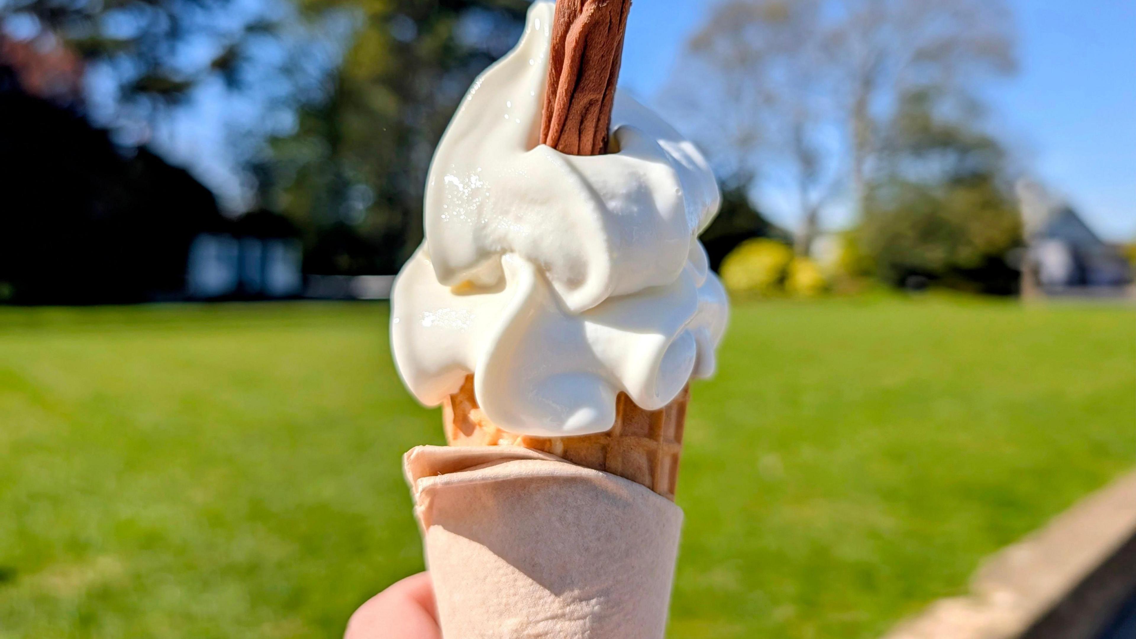 A person's hand holds a Mr Whippy ice cream cone with a flake. In the background is green grass, some trees and blue sky