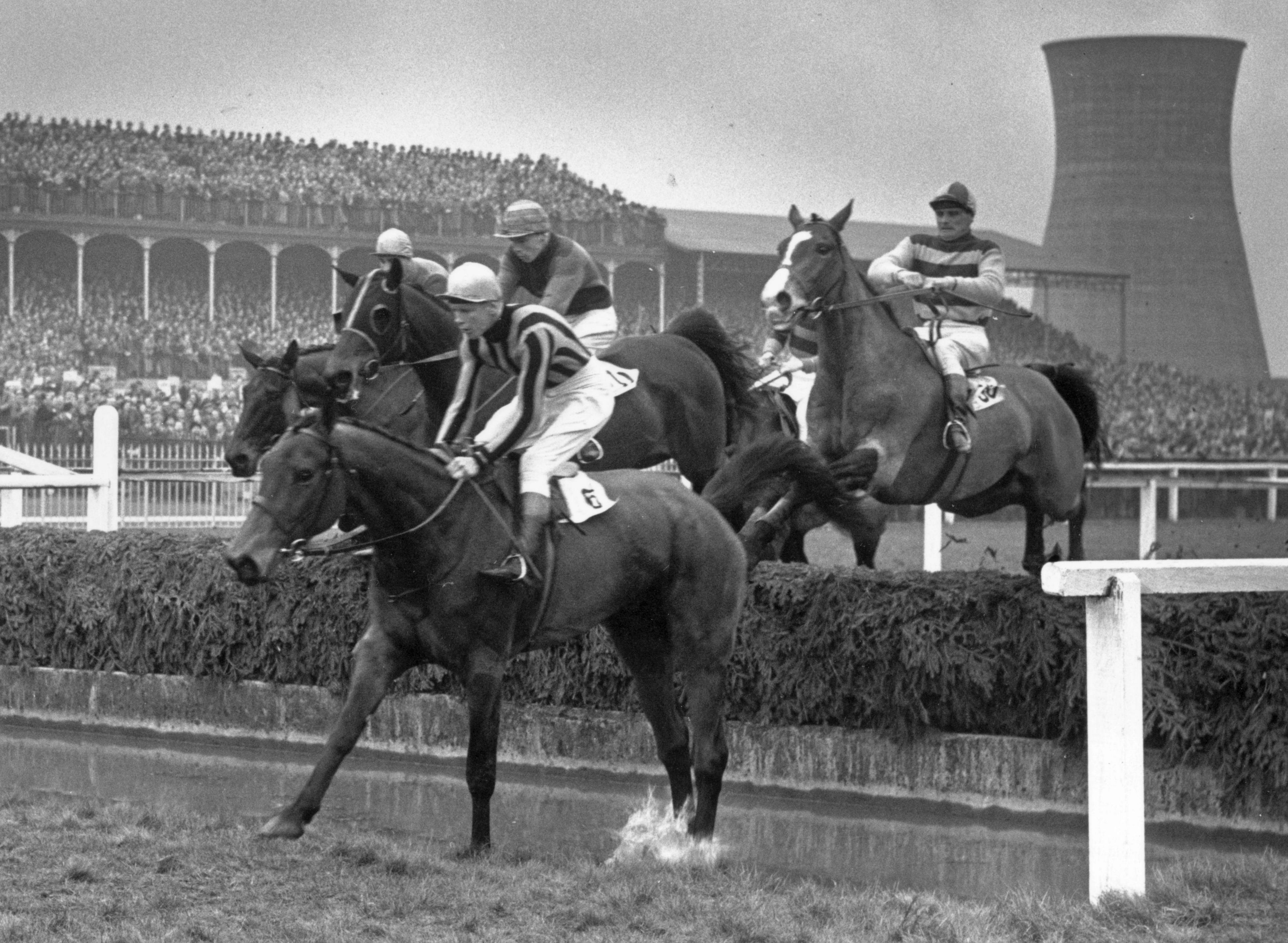 Grand National riders in 1954