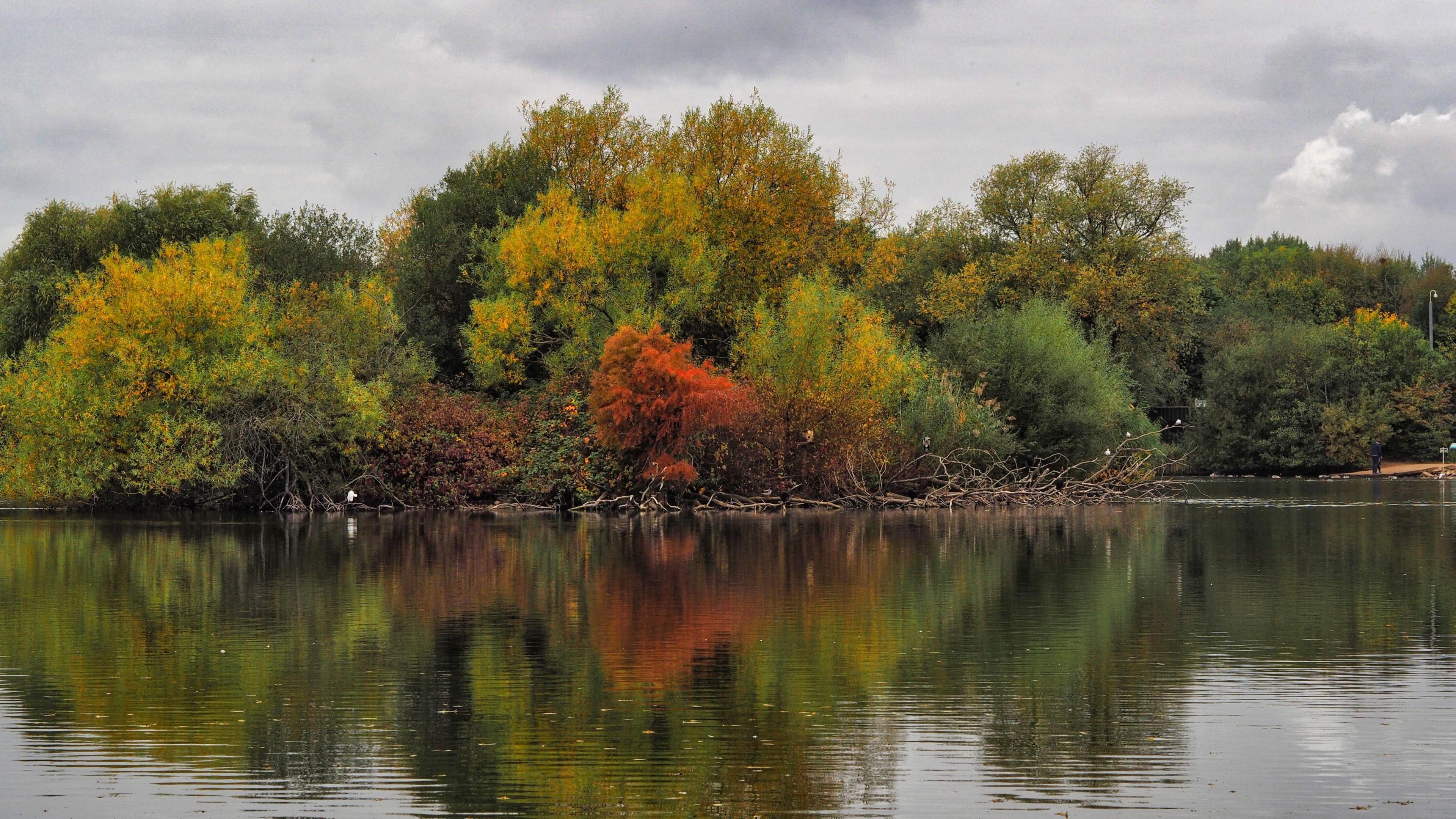 Clump of trees on island across a stretch of water - their leaves are green, orange and yellow as autumn sets in.
