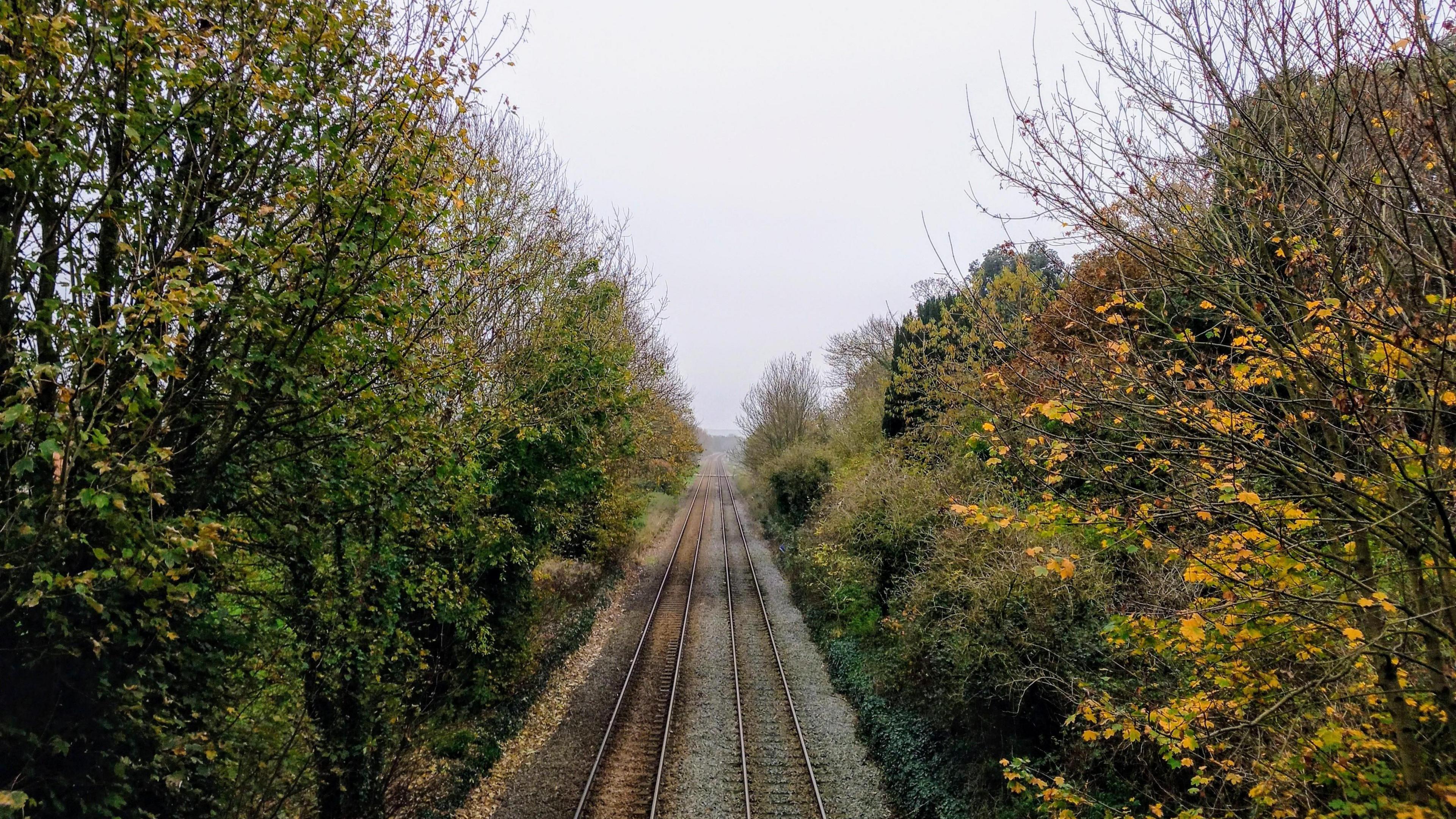 Railway tracks  run through the centre of this picture that was taken near Sherborne. It is an overcast day with a grey sky overhead. The two sets of tracks run in a straight line into the distance. There are autumnal trees on either side of the track.