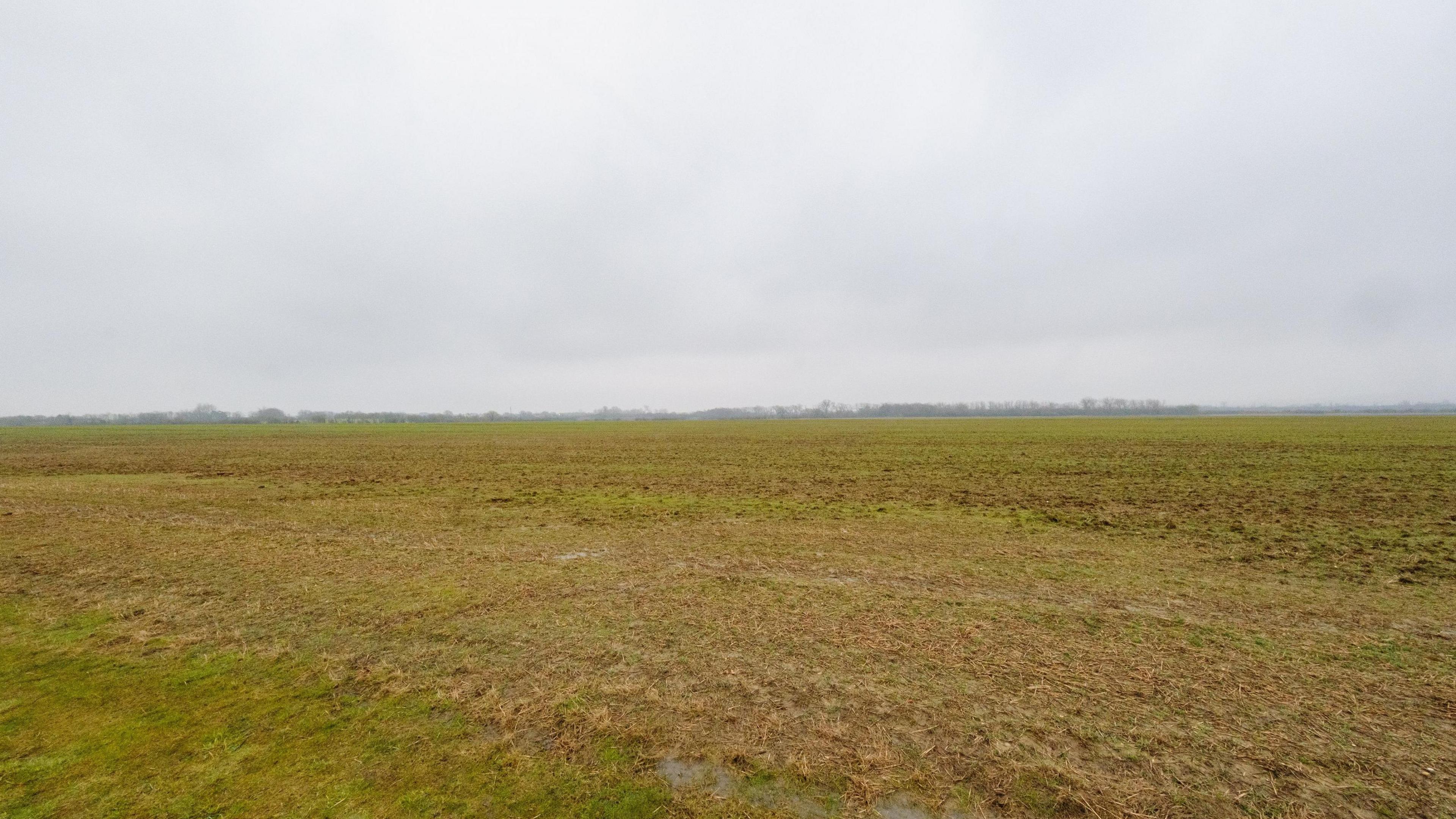 An empty green field at Kempston Hardwick. The sky is grey. Trees can be seen on the horizon.