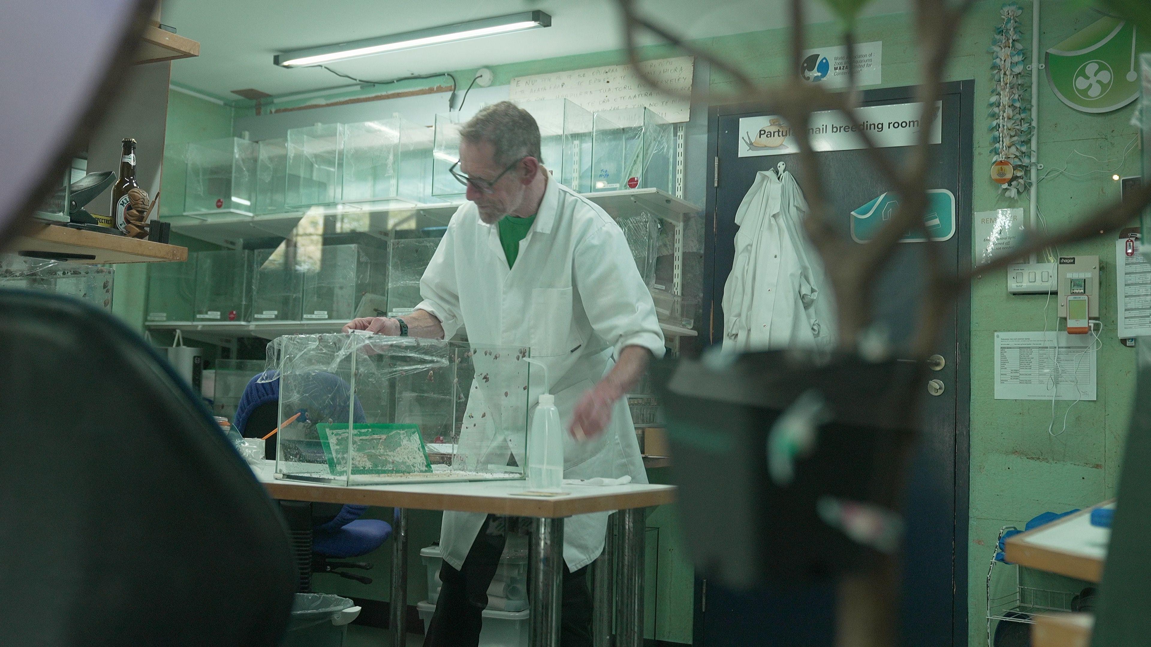 Kujdestari i kërmijve, Dave Clarke, me xhaketë të bardhë, është në laboratorin e tij duke u kujdesur për një kuti transparente që ka kërmijtë e pemëve të Garrett-it. Disa kërmij janë ngjitur në anë të kutisë. Pas tavolinës ku ai ka kutinë e tij me kërmij, ka disa kuti të tjera transparente të ngjitura në katër rafte. Më shumë xhaketa të bardha janë varur në derë.