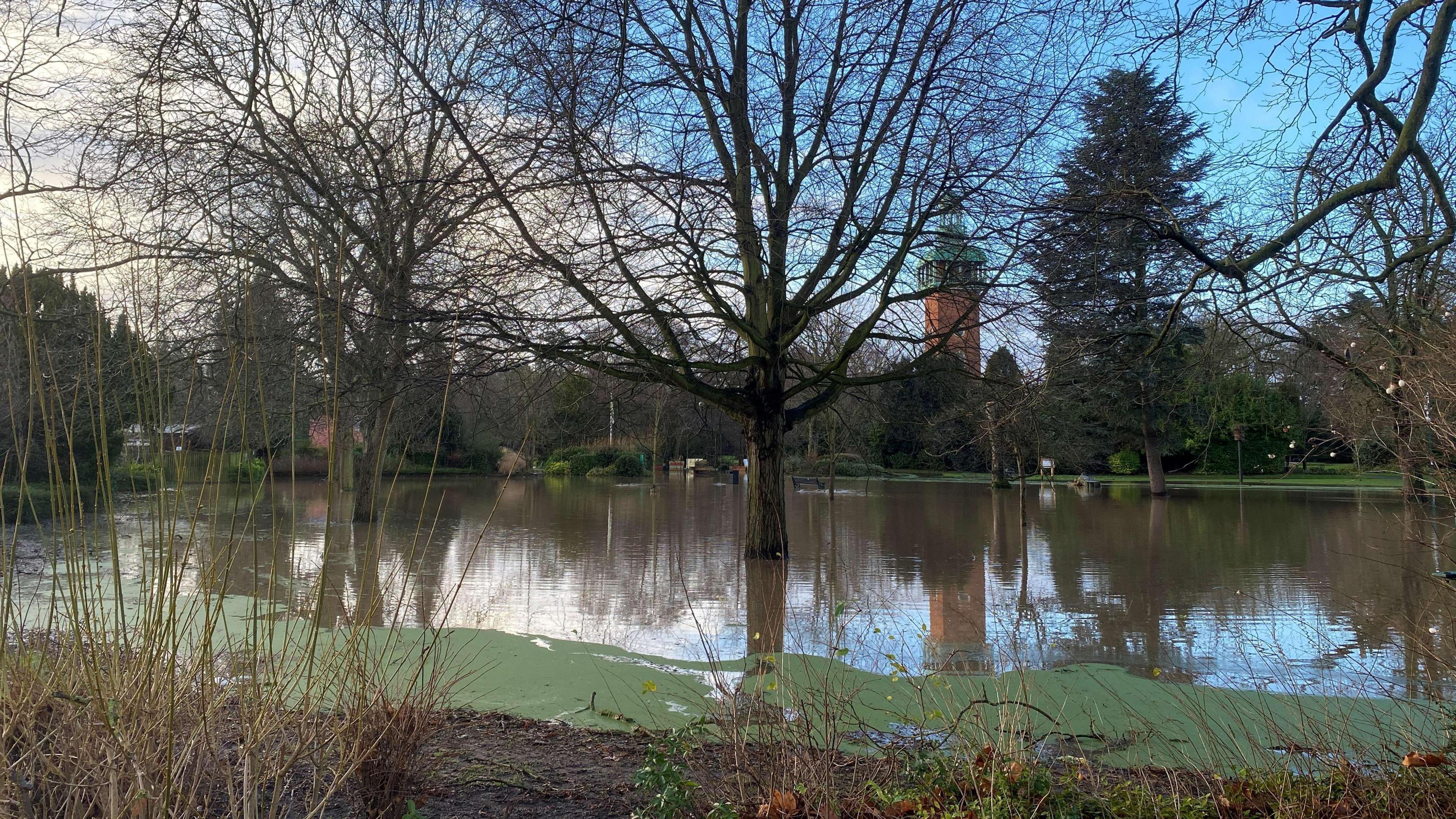 A grassed area at Queen's Park covered in water