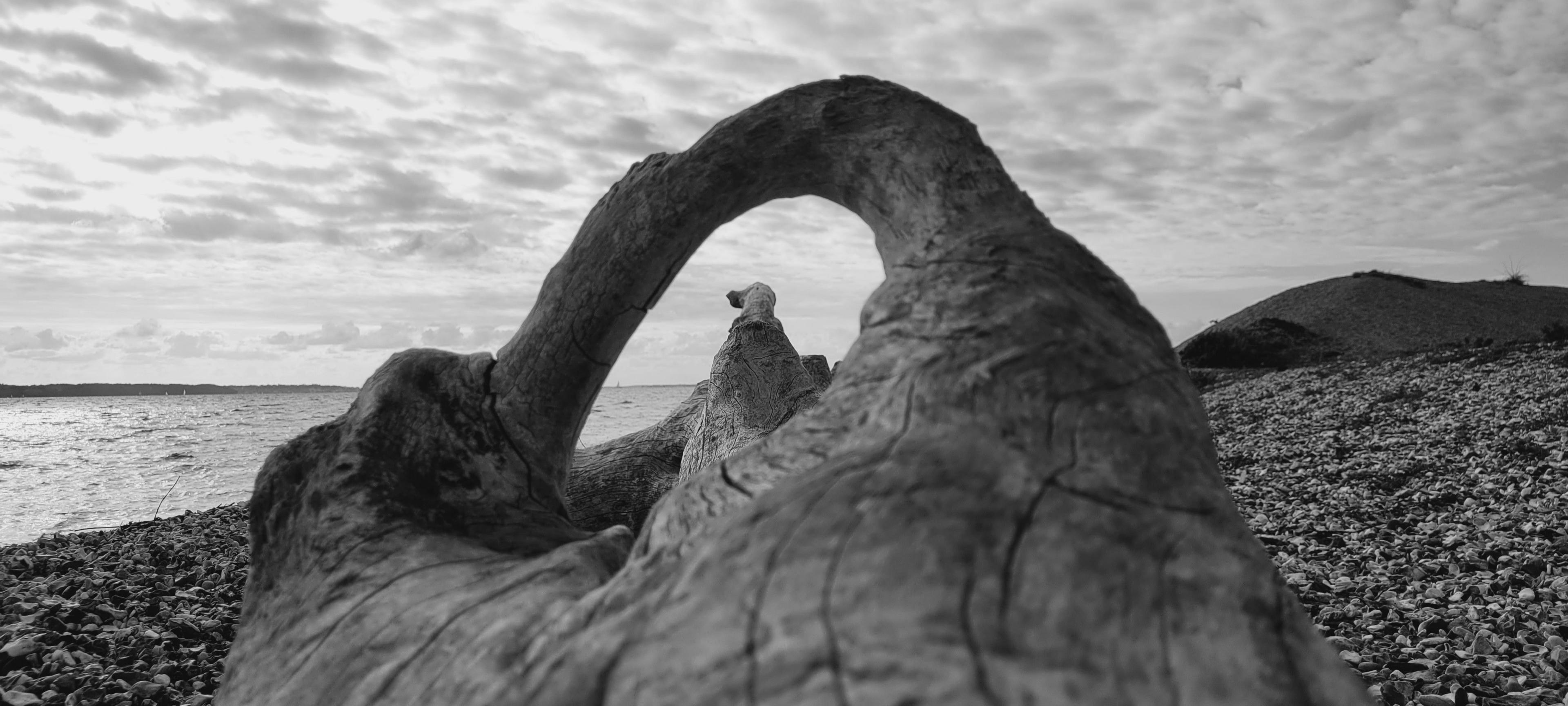 Driftwood arch on the beach at Lee-on-the-Solent
