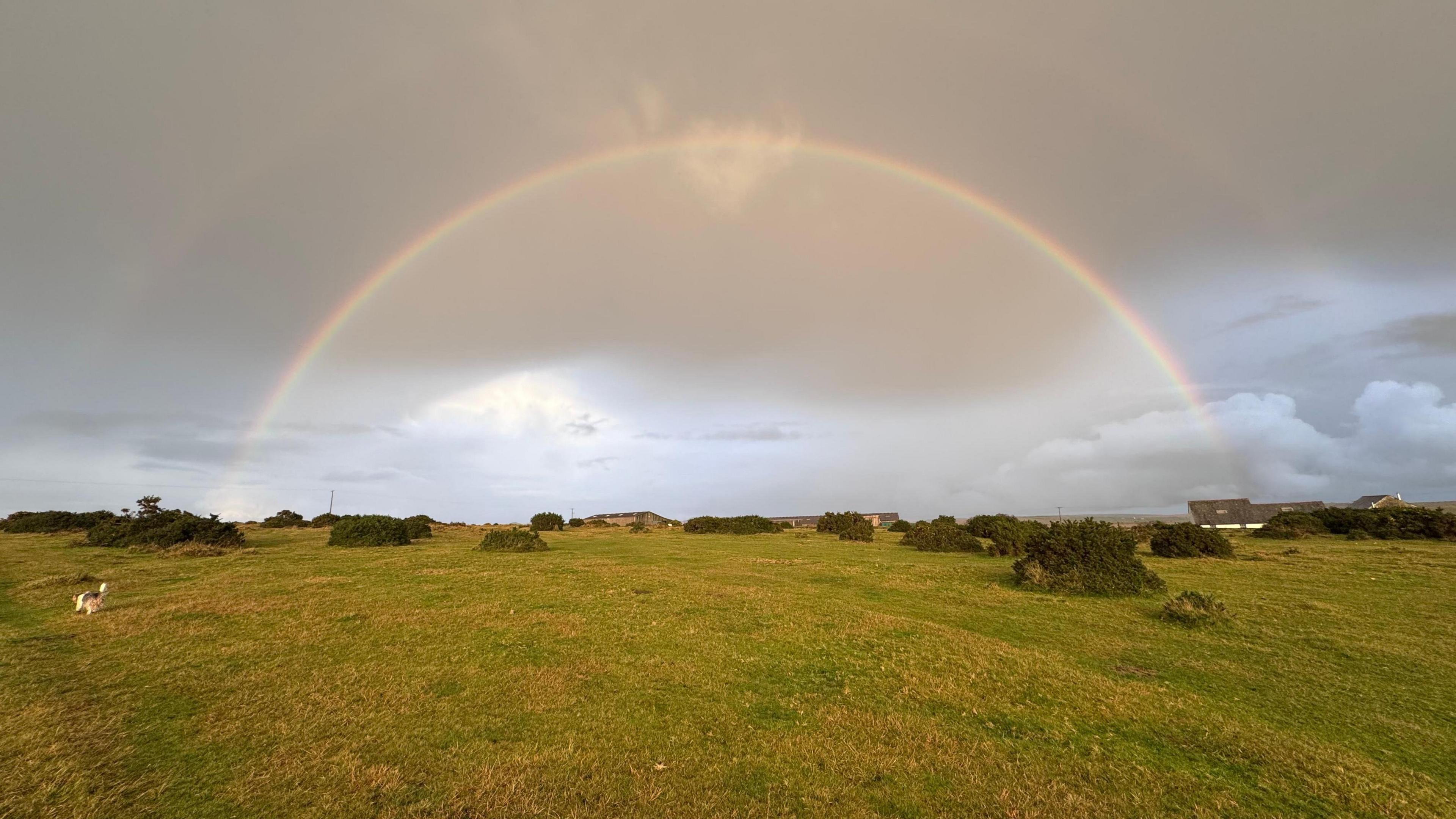 A rainbow forms a semi-circle above a field in Cornwall. A dog is running around the field.
