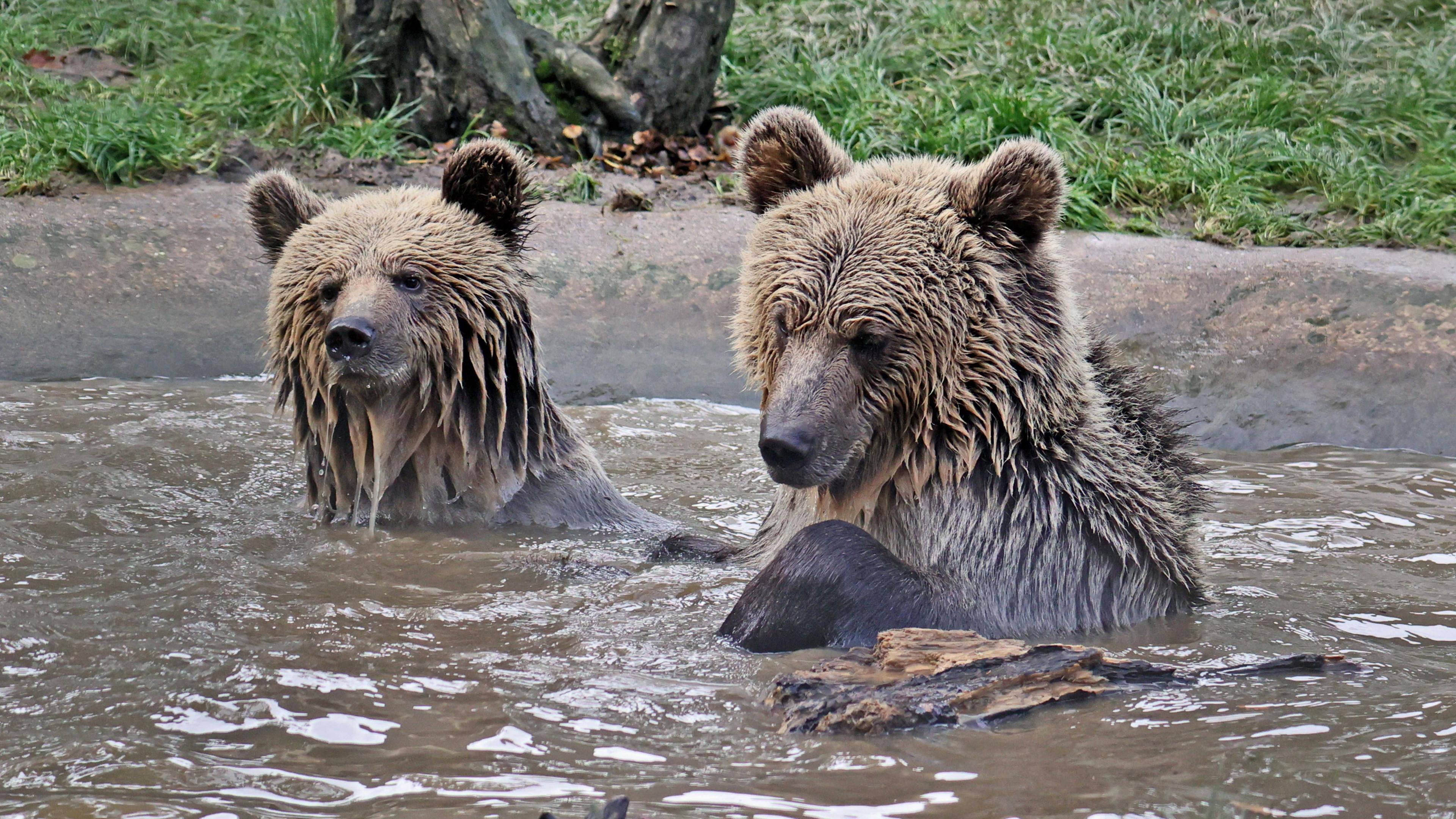 Mish and Lucy are seen in the water at the park
