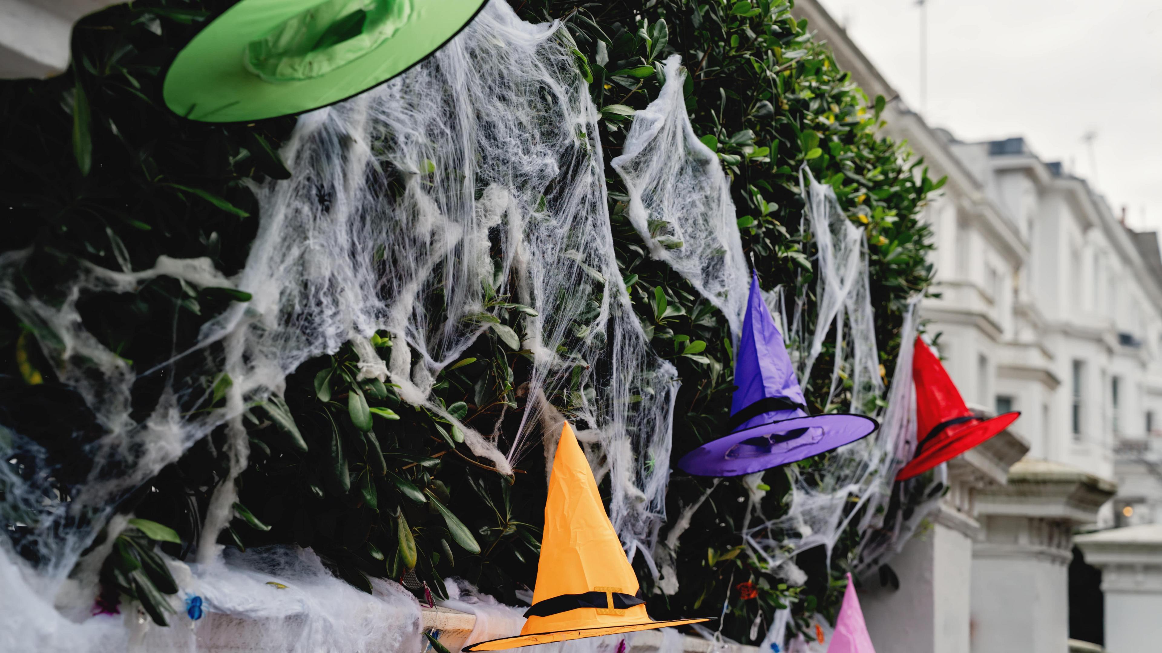 Plastic cobwebs attached to a tree alongside witches hats in a suburban street