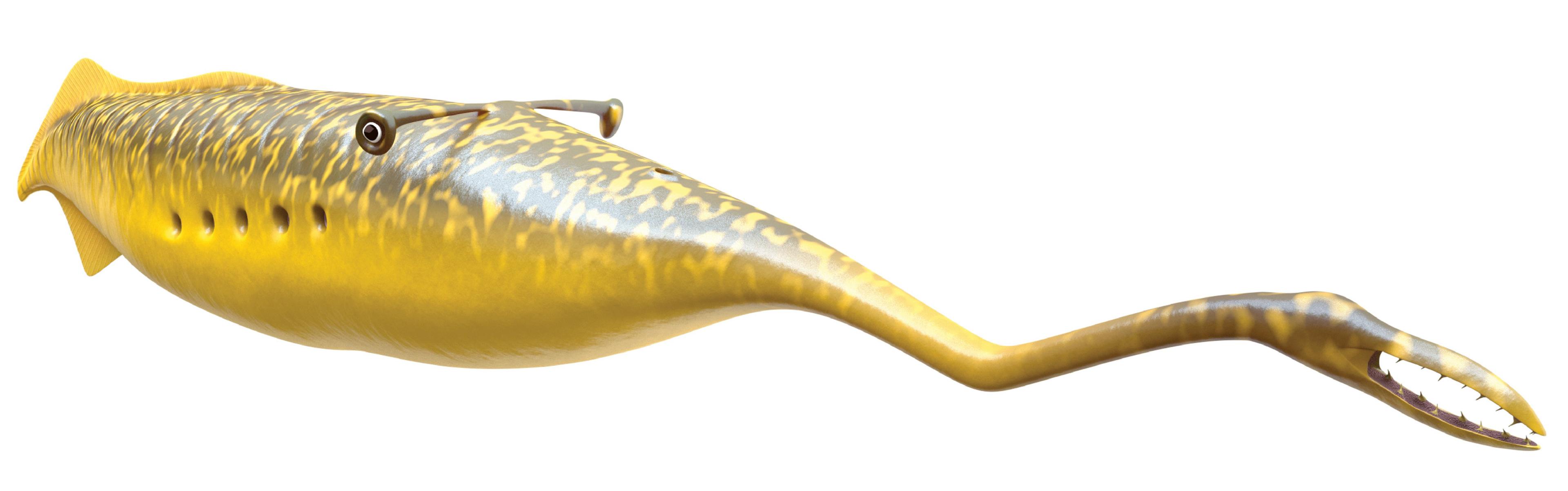 Reconstruction of what the Tully Monster might have have looked like 300 million years ago