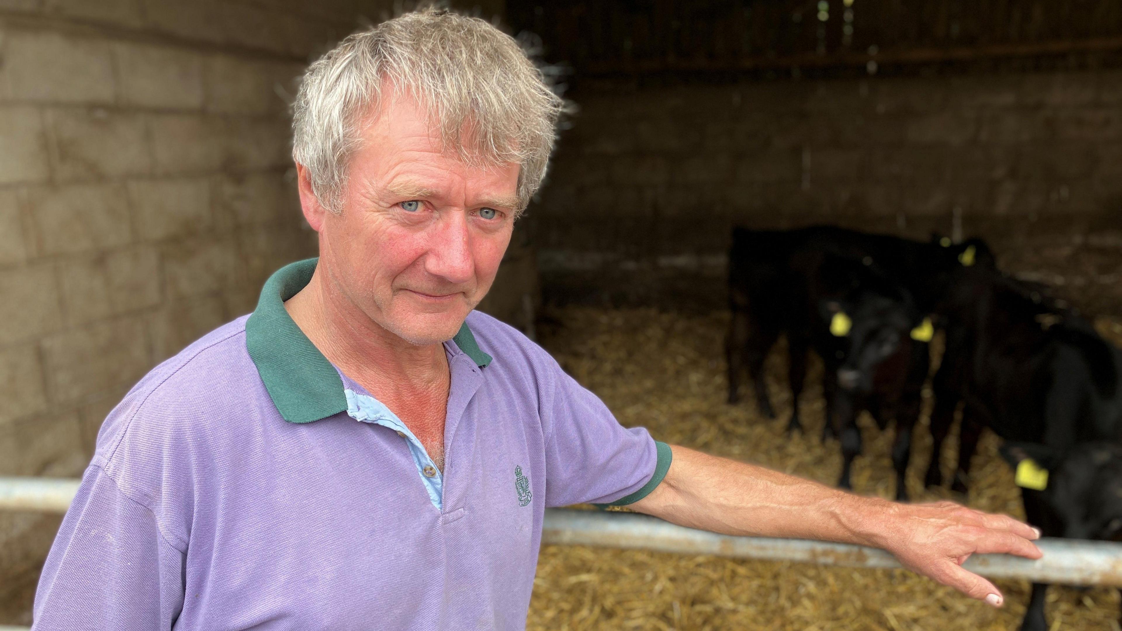 A man wearing a purple polo shirt with green edging stands by a barn with hay on the floor and cows behind him while he leans his left arm on the metal gate