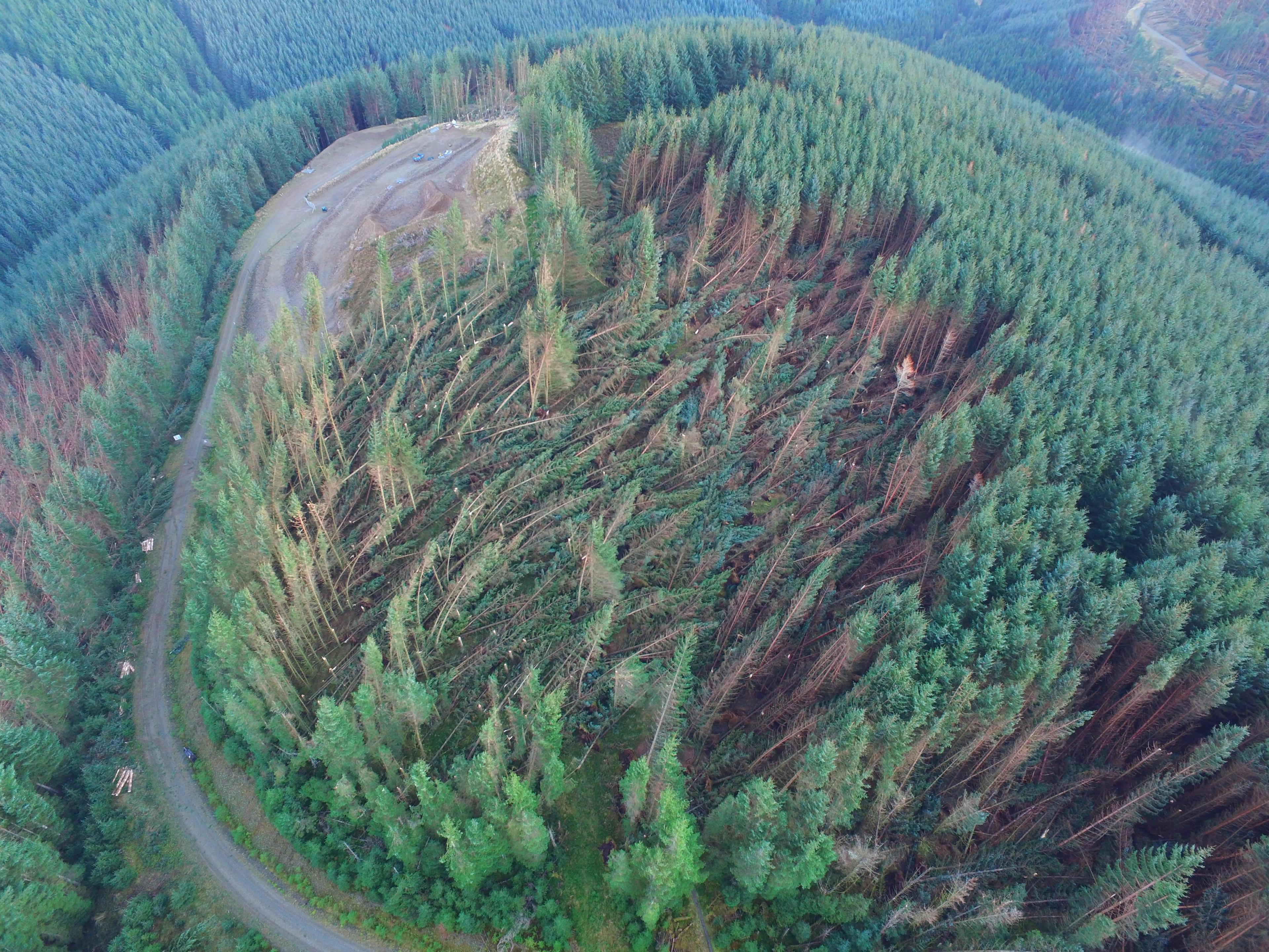 Storm damage